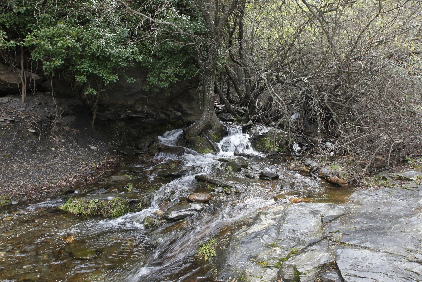 Naturaleza desconfinada. La Roza (Abrucena)