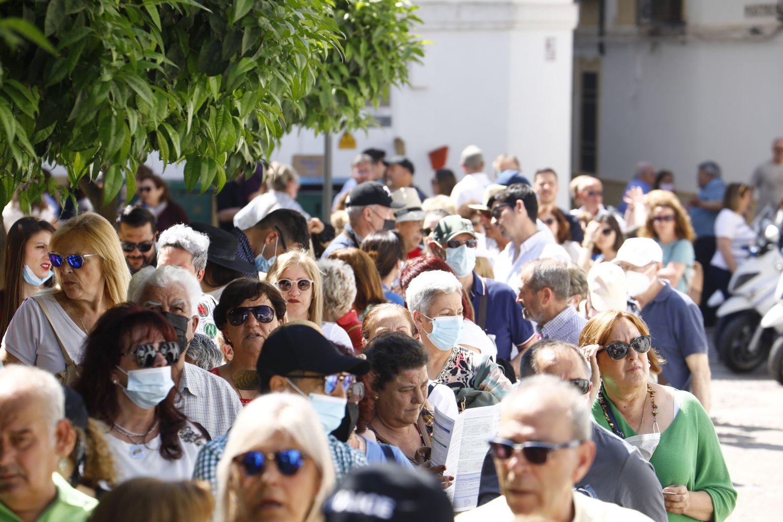 El primer sábado de Patios de Córdoba, en imágenes
