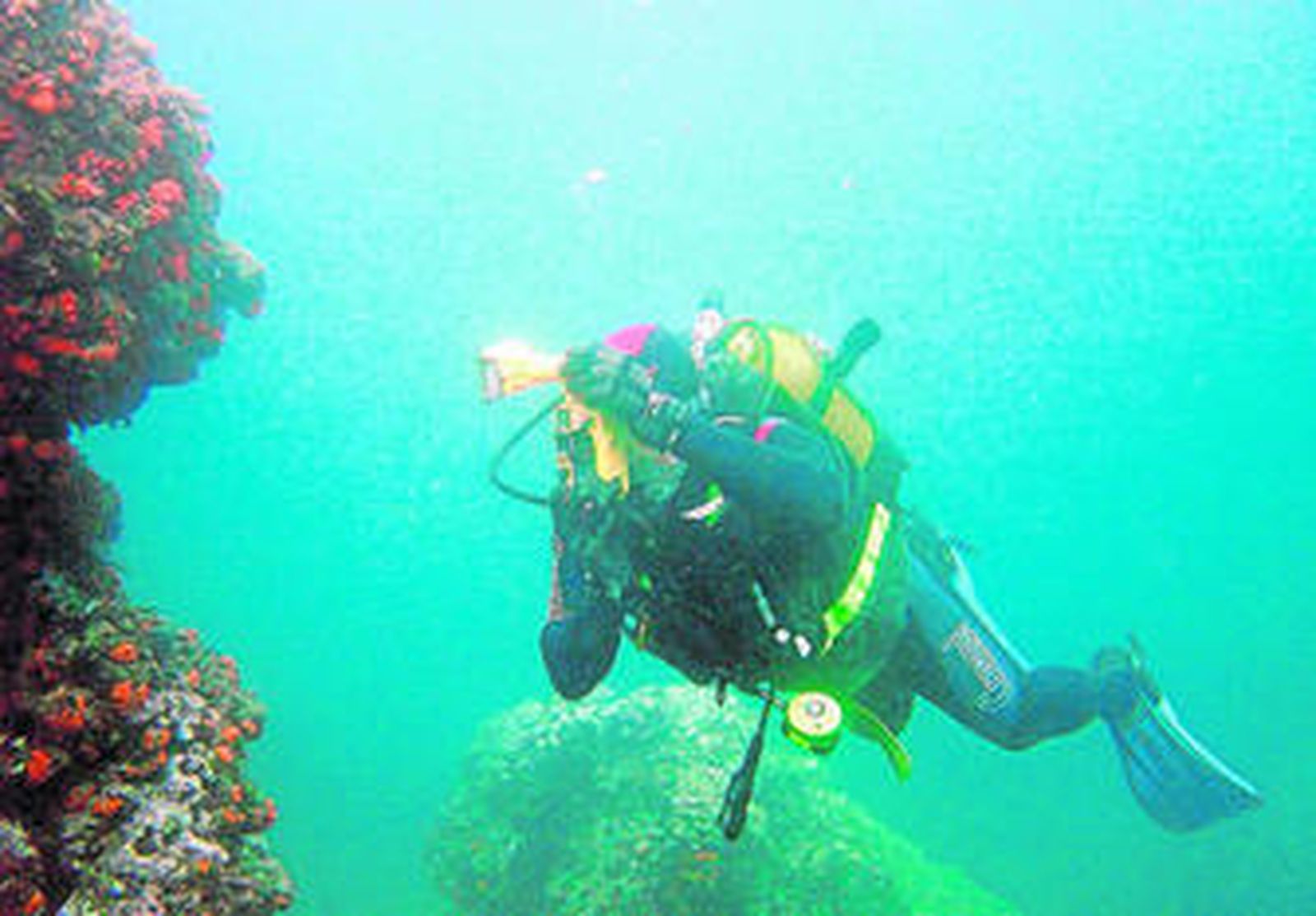 Bajo el agua de Maro