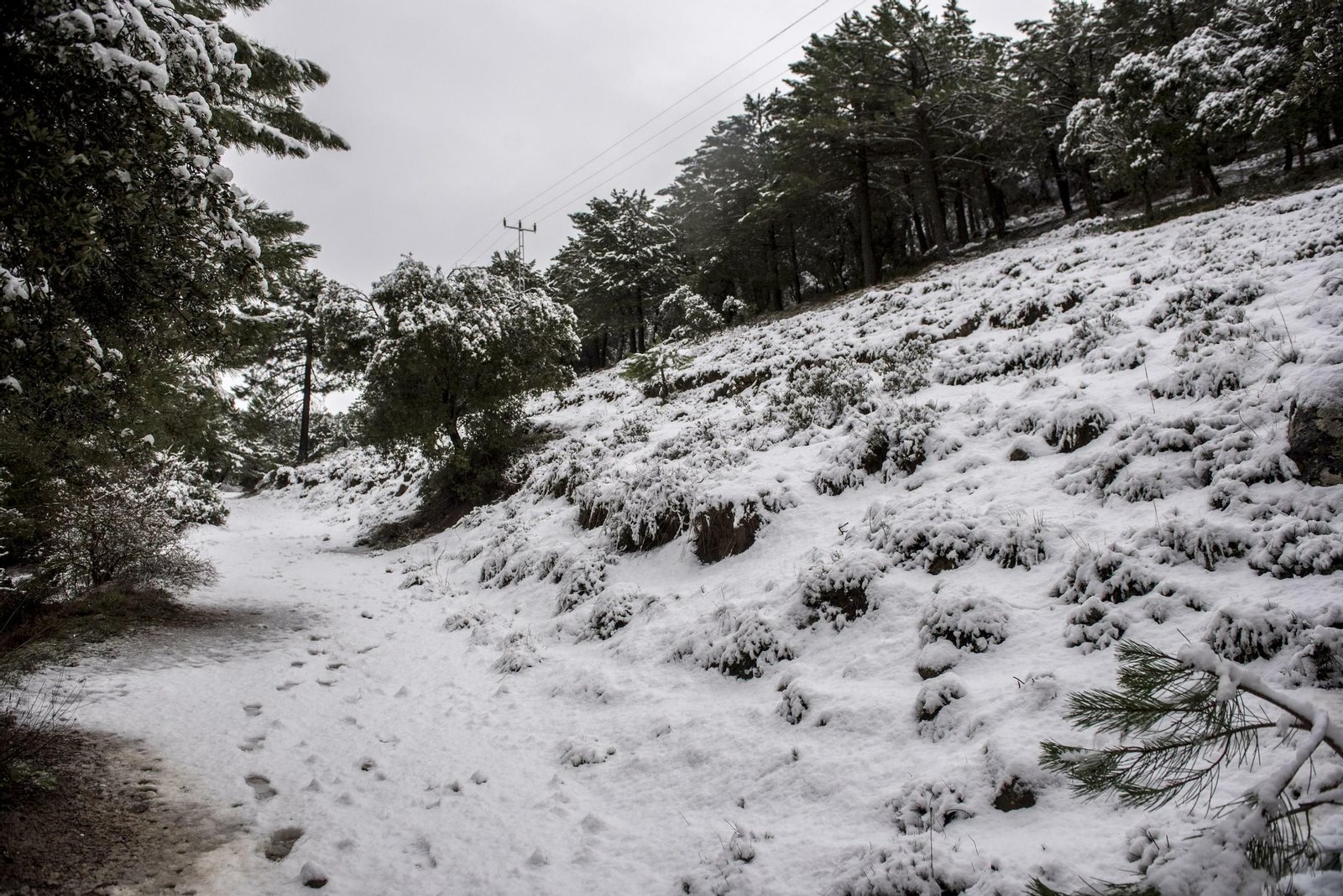 Todas las imágenes del paso del temporal por Granada