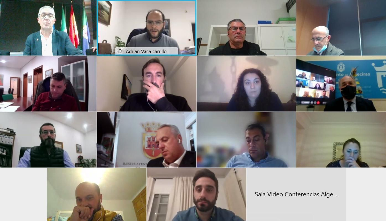 El Consejo de alcaldes, reunido este miércoles de forma telemática.