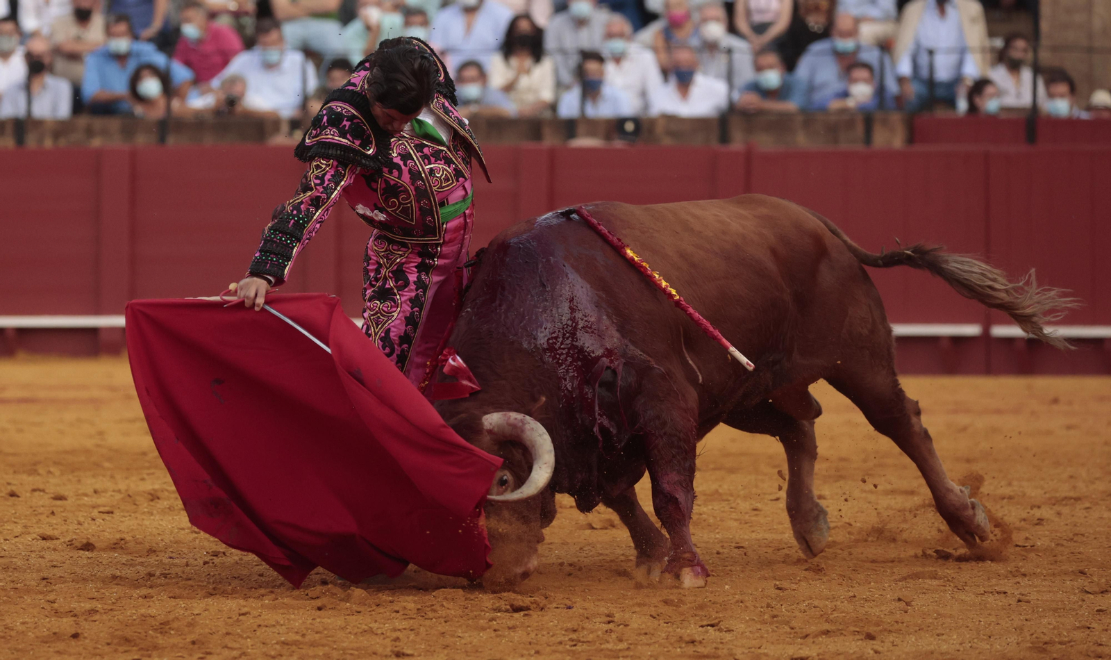 Las imágenes del triunfo de Morante en San Miguel