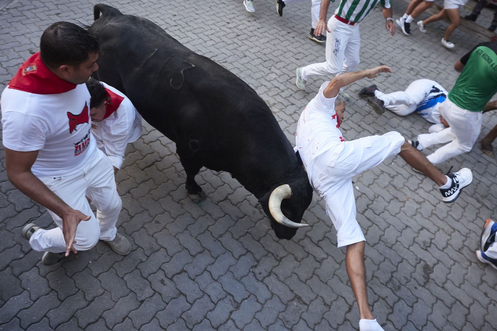 Un corredor es volteado por un toro en el séptimo encierro.