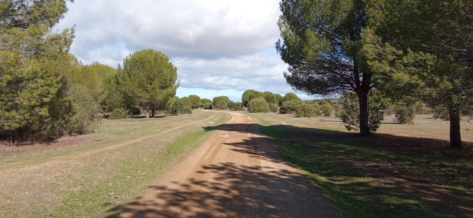Las imágenes de la ruta ornitológica del corredor verde