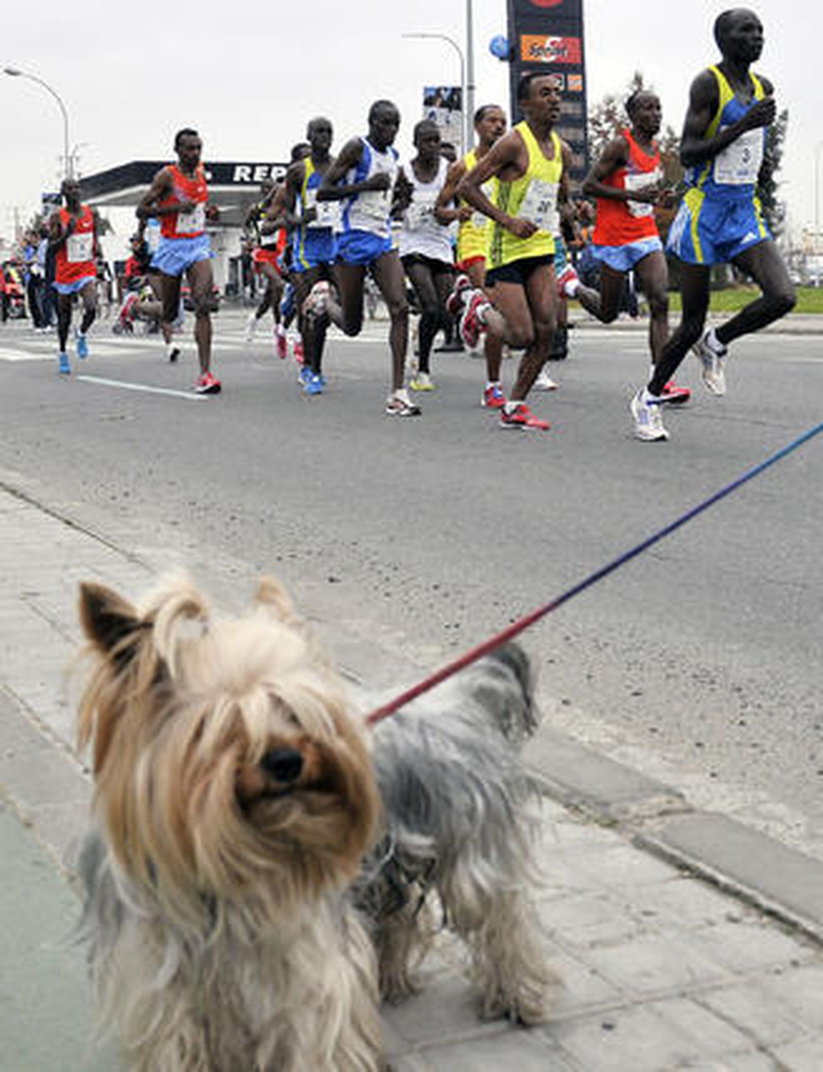 El etíope Daniel Abera gana la XXVII Maratón de Ciudad de Sevilla. / Juan Carlos Vázquez