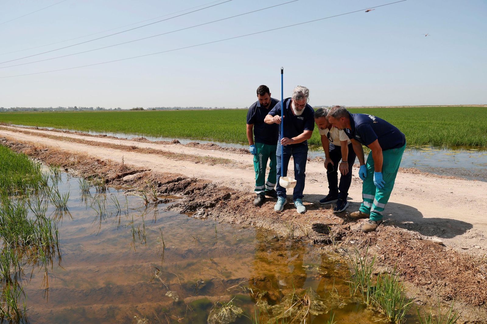 Revisión de zonas húmedas en La Puebla del Río durante las labores de prevención.