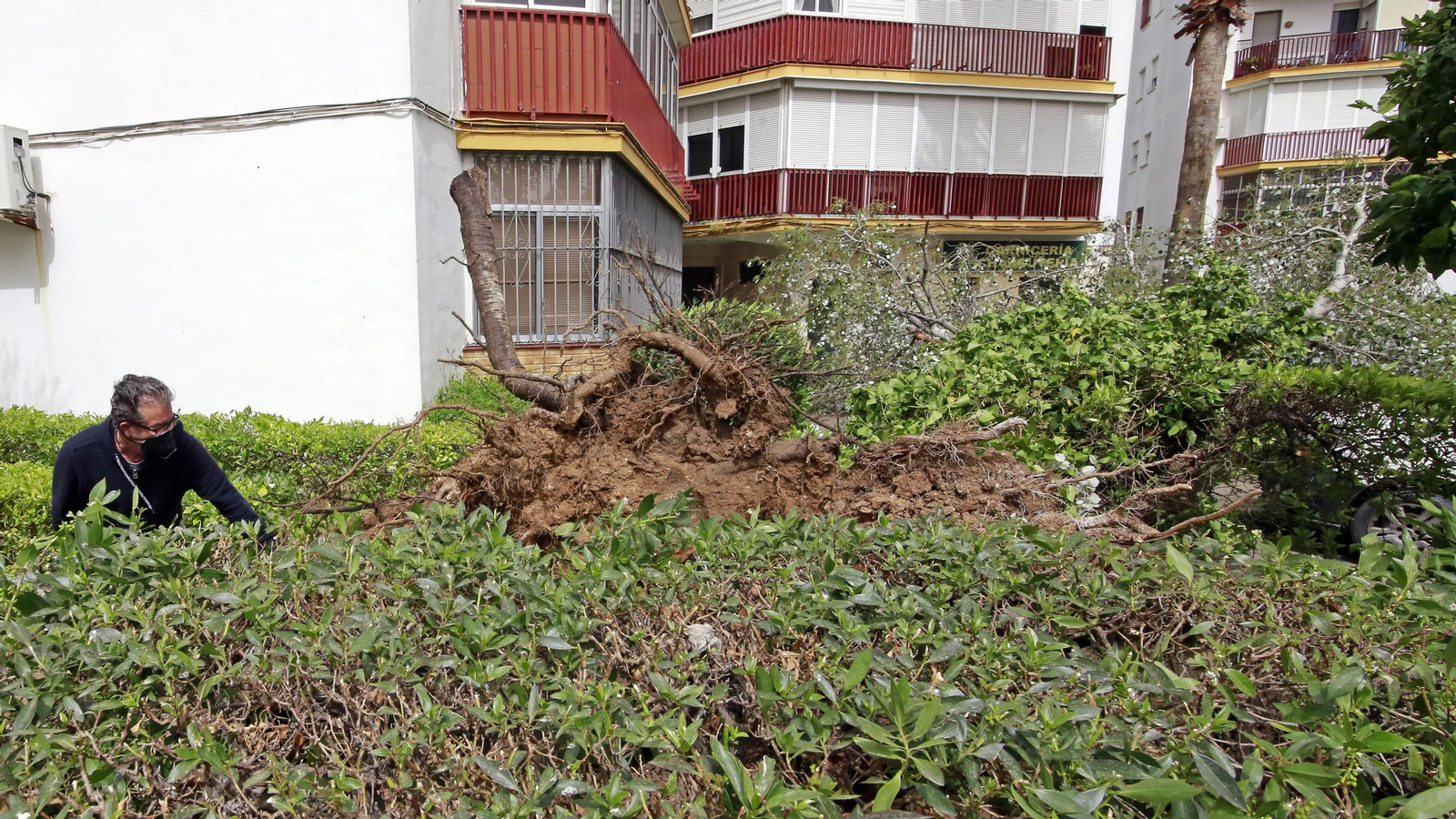 Imágenes de los destrozos ocasionados por el fuerte temporal