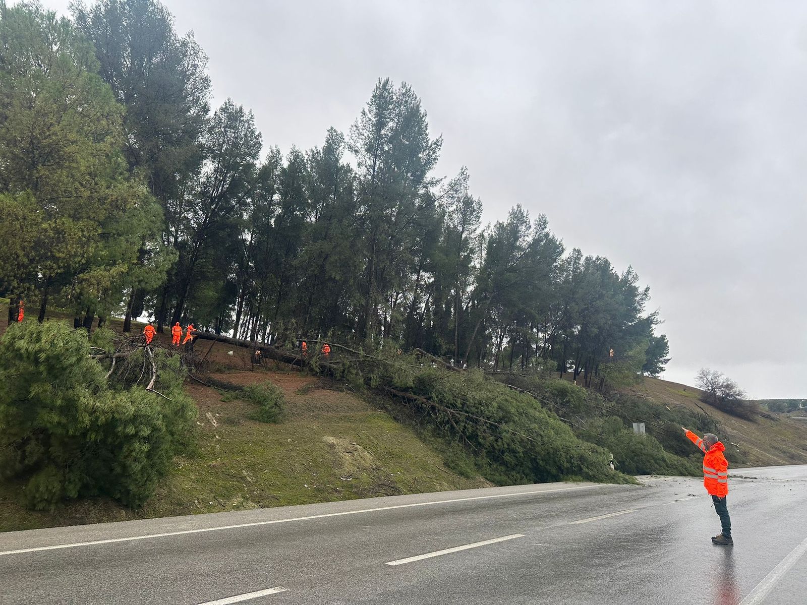 Una de las carreteras autonómicas afectadas por las lluvias en Córdoba.
