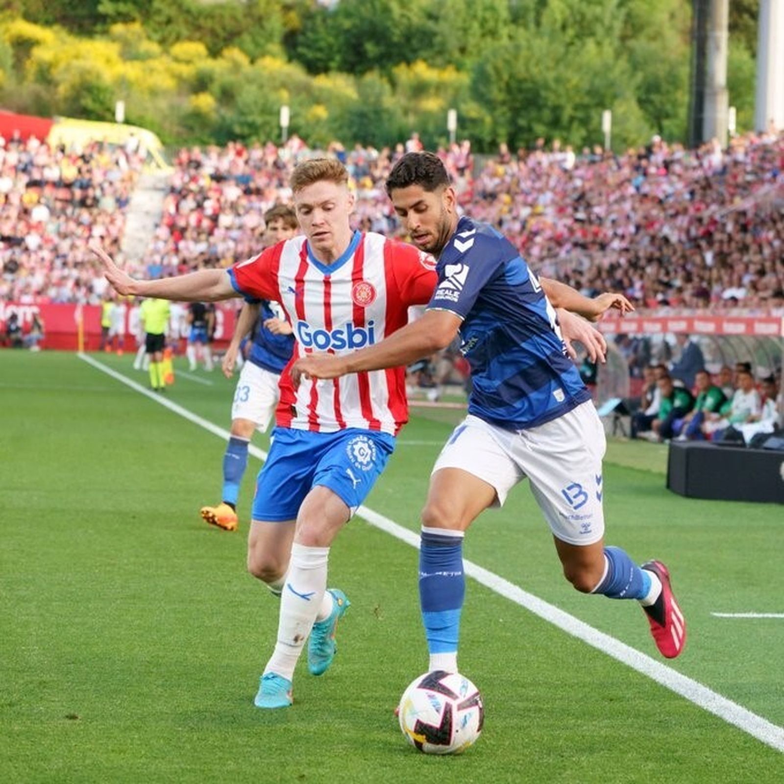 Ayoze pelea con Tsyngakov en una banda.