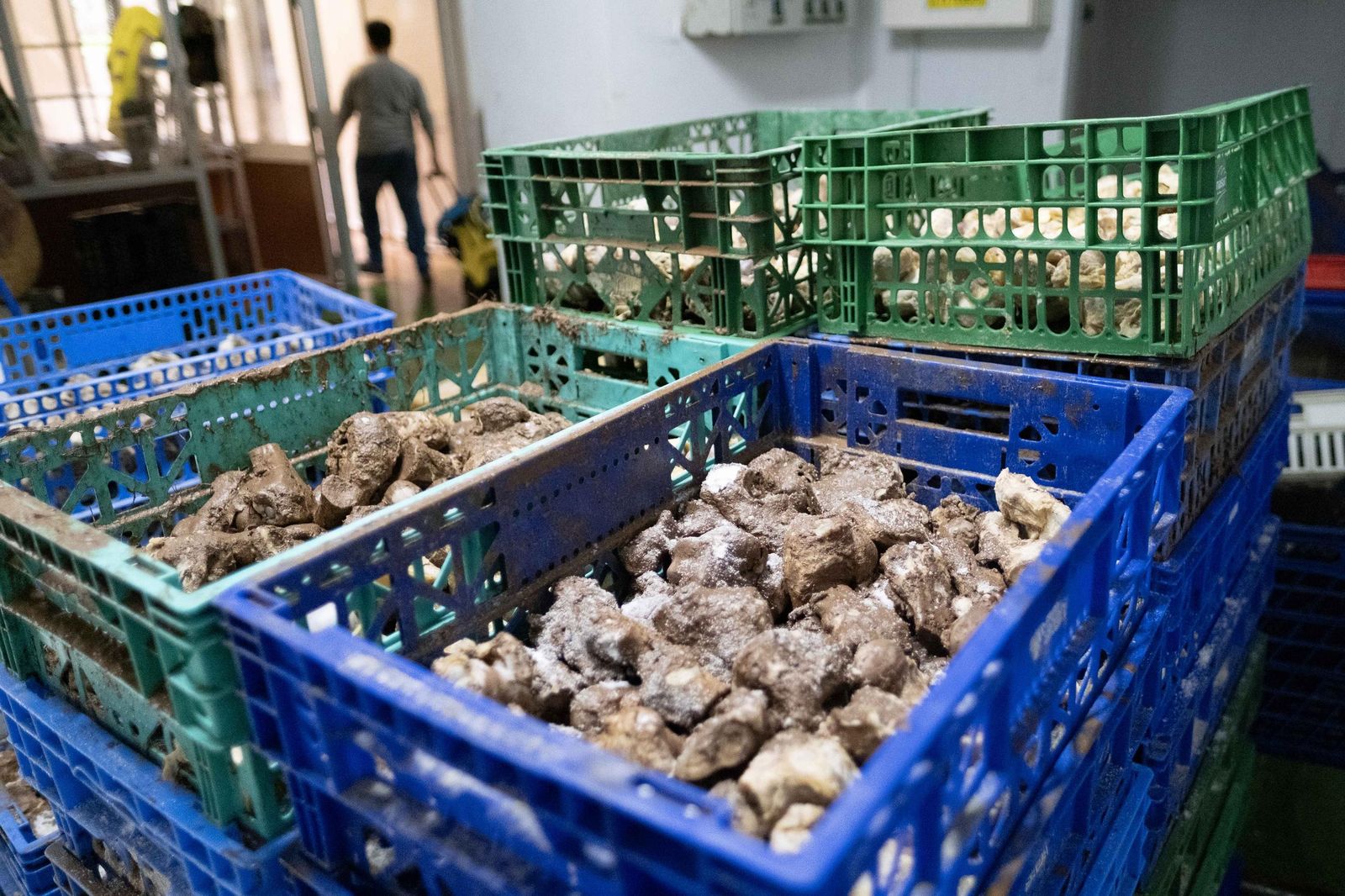 Riada de lodo y piedras en Jimera de Líbar, en fotos