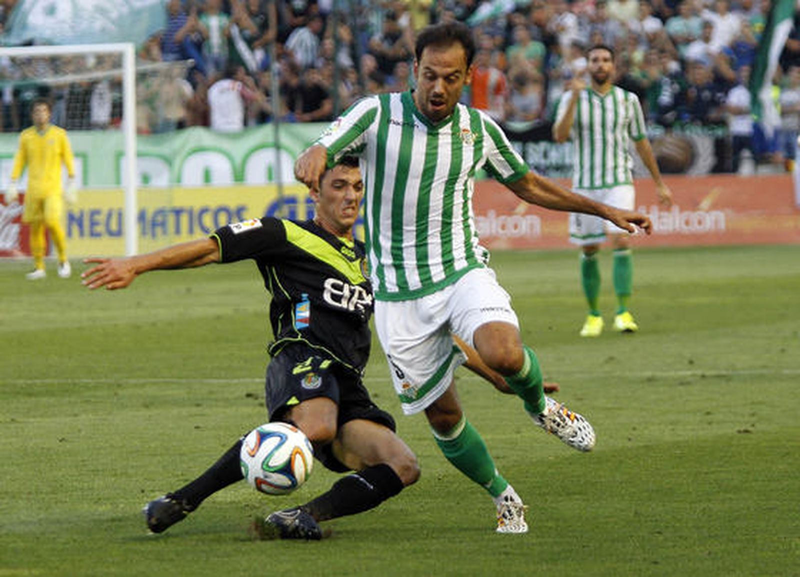 Foto: Juan Carlos Munoz