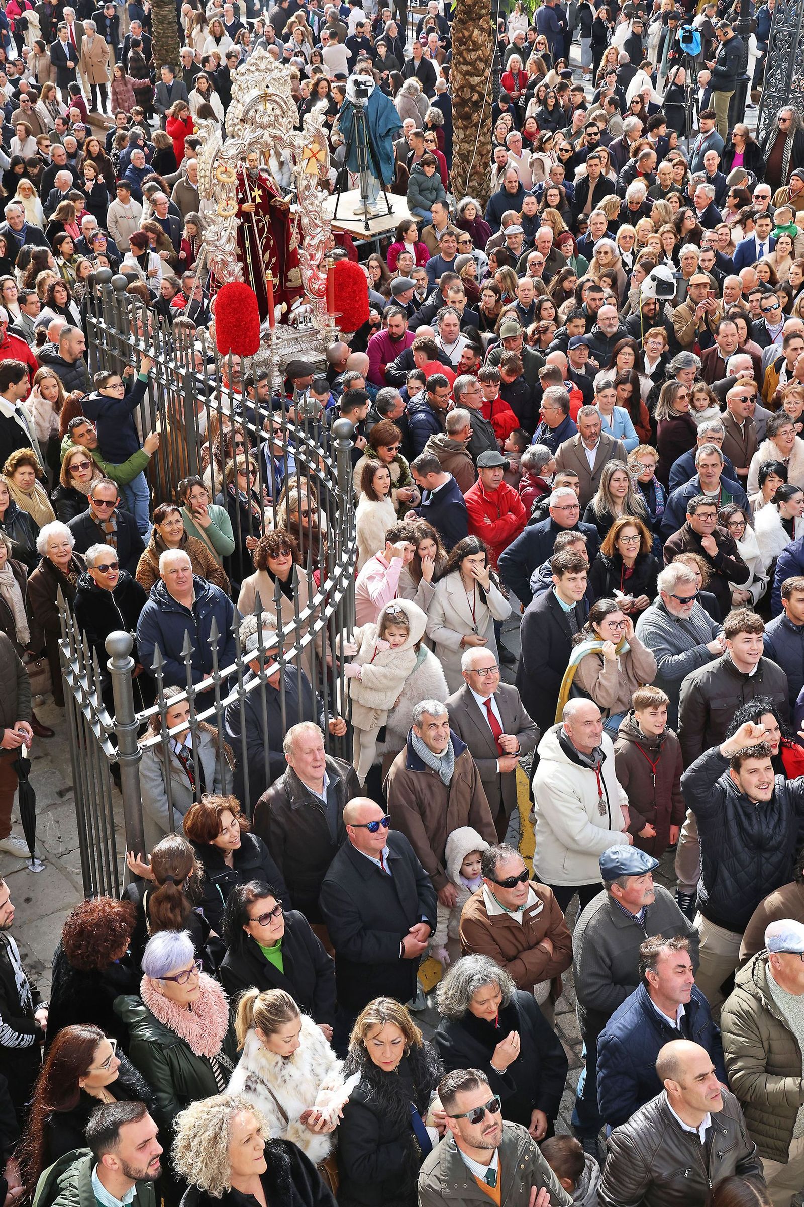 Las mejores fotografías de las Tiradas a San Antonio Abad en Trigueros