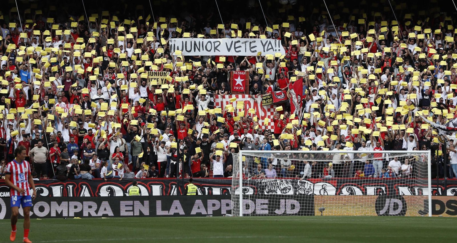 Una imagen de la grada de Gol Norte.