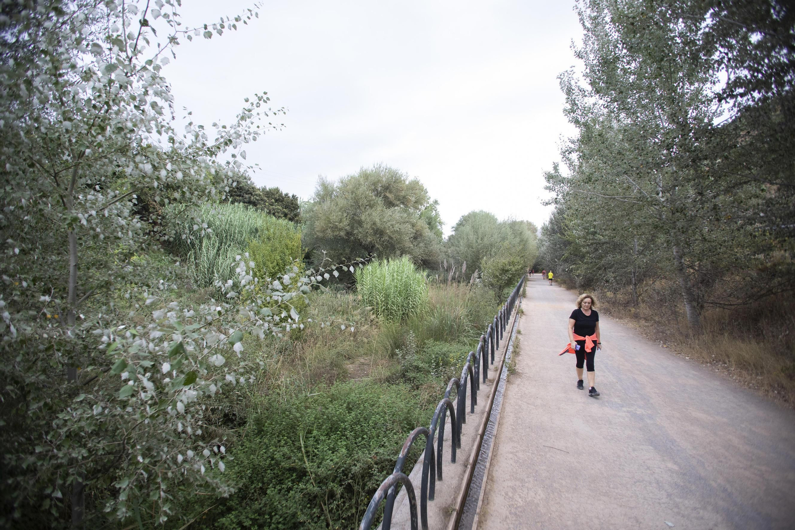 Ruta del Colesterol en Granada: cauces de los ríos Genil y Monachil