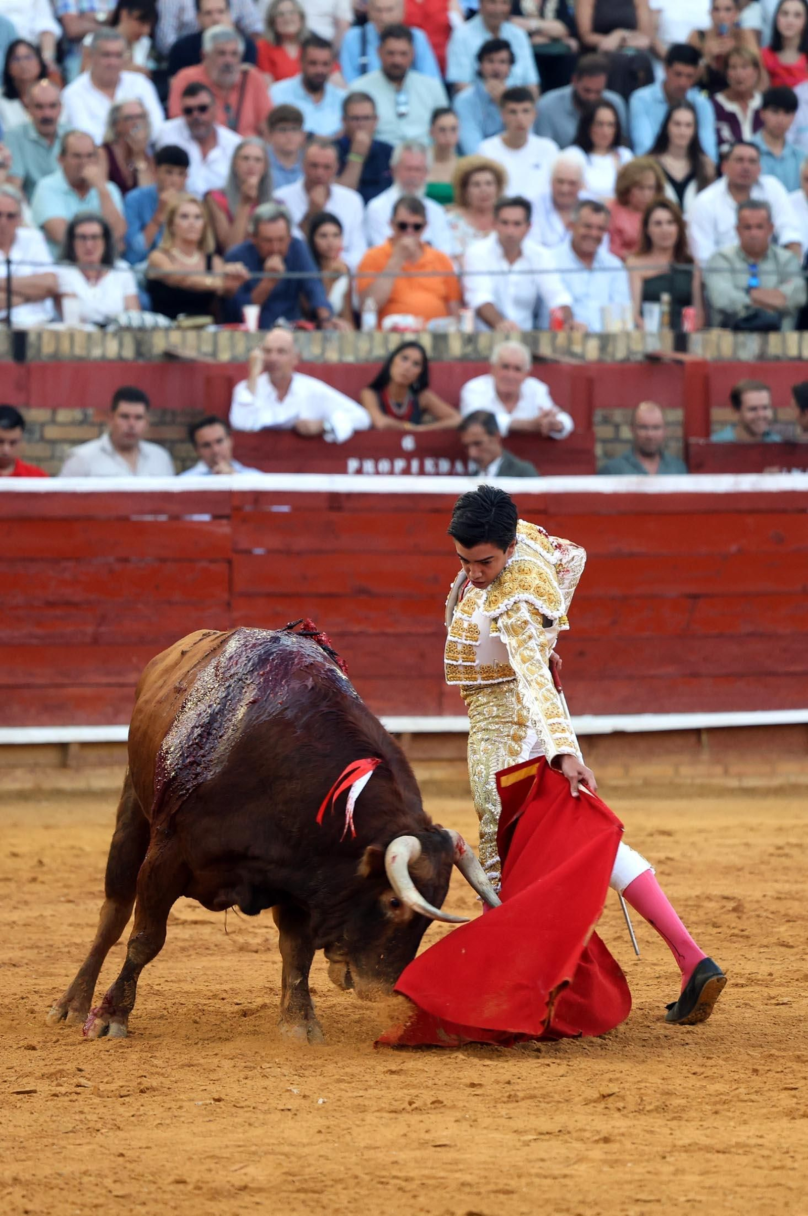 Toros La Merced 2025: Imágenes de la corrida de David de Miranda, Marco Pérez y Borja Jiménez