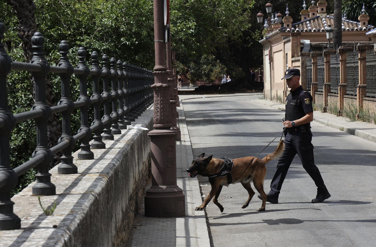 Policía Nacional hace inspecciones del subsuelo y con los perros para la ONU