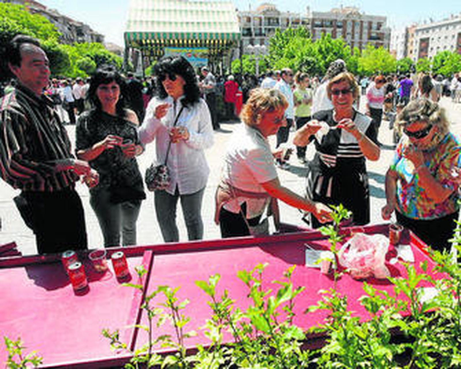 Duelos de esgrima en el Palacio de Viana