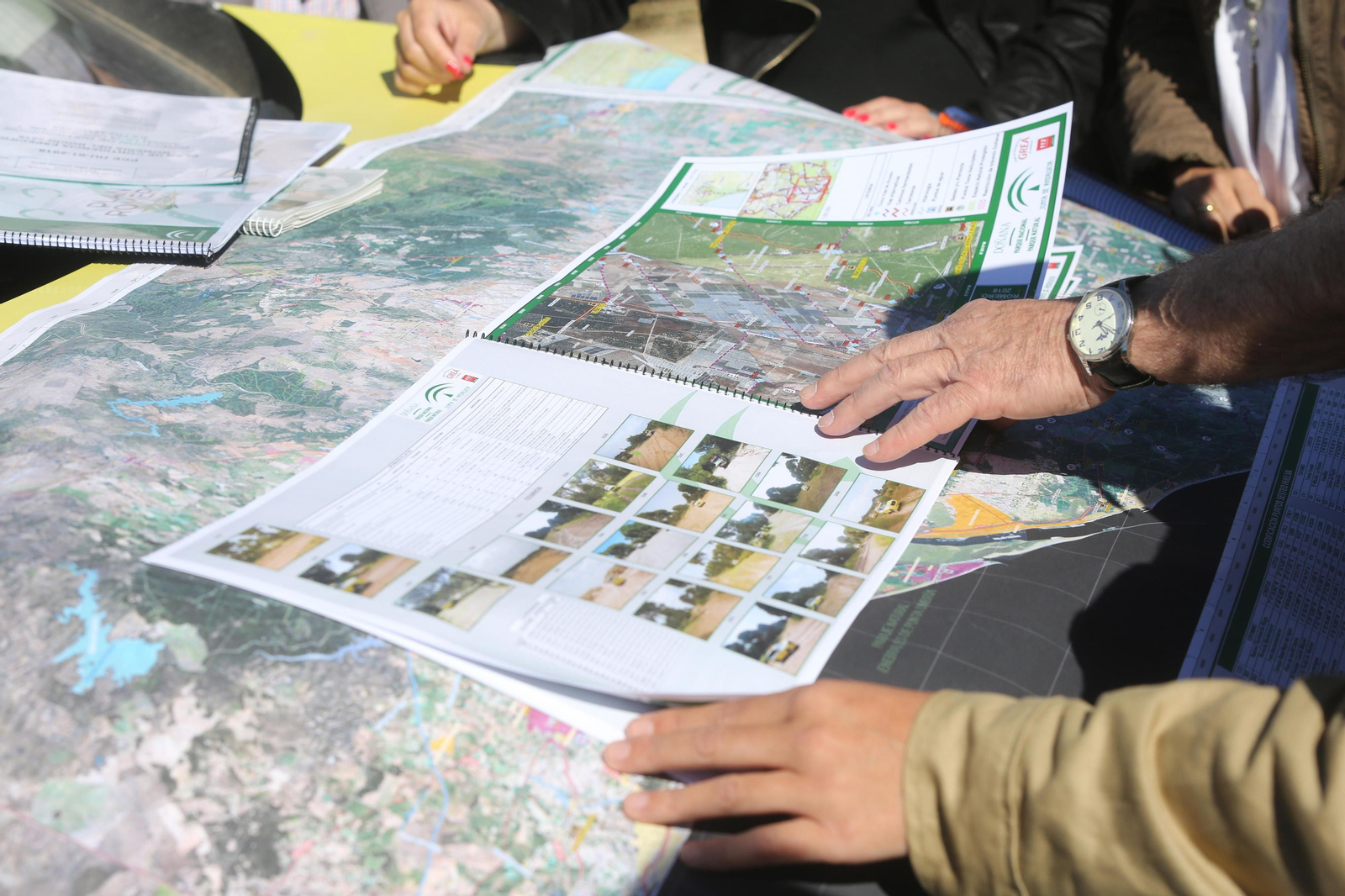 Activado el Plan Romero