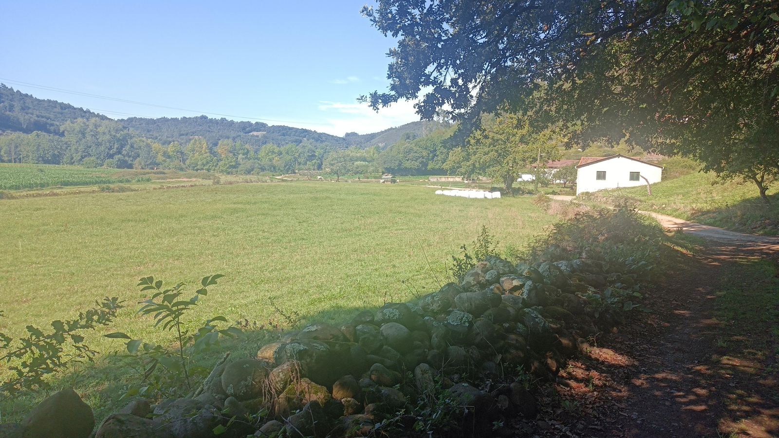 El bucólico paisaje alterna bosques y praderas.