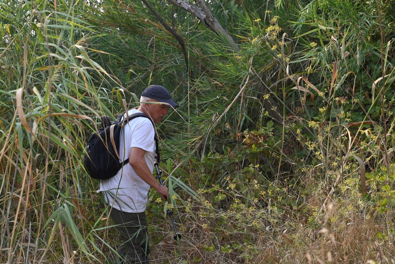 La búsqueda del hombre de 59 años desaparecido en Córdoba, en imágenes