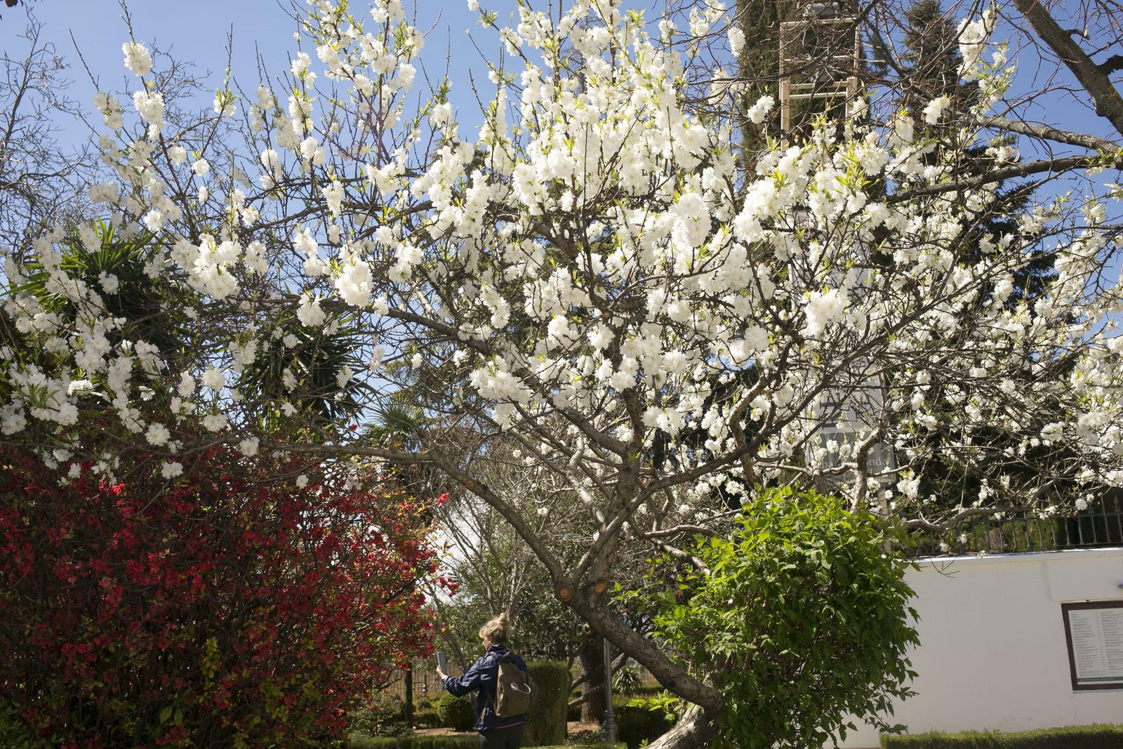 La primavera deja ver su paleta de color