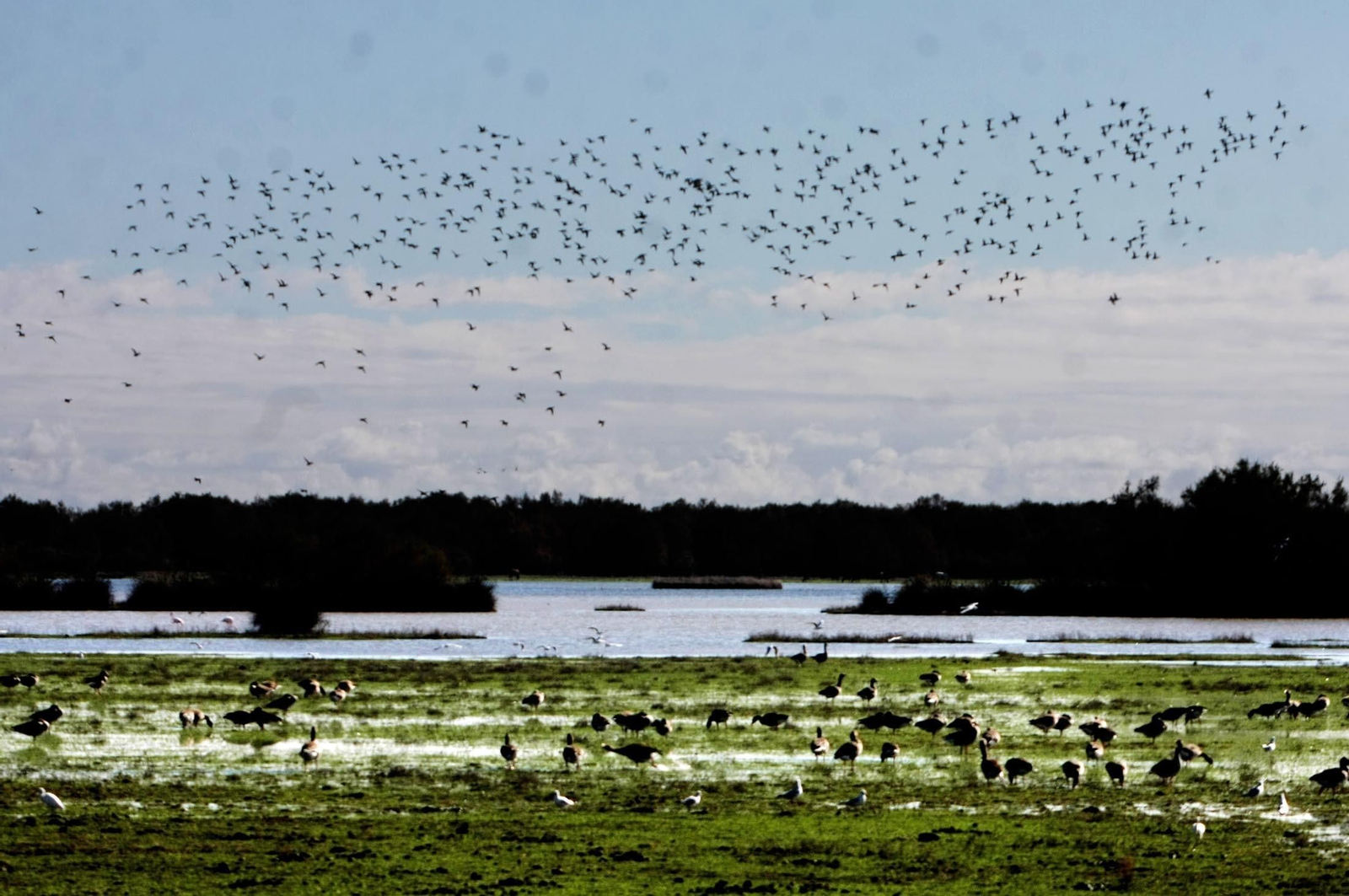 Parque Nacional de Doñana