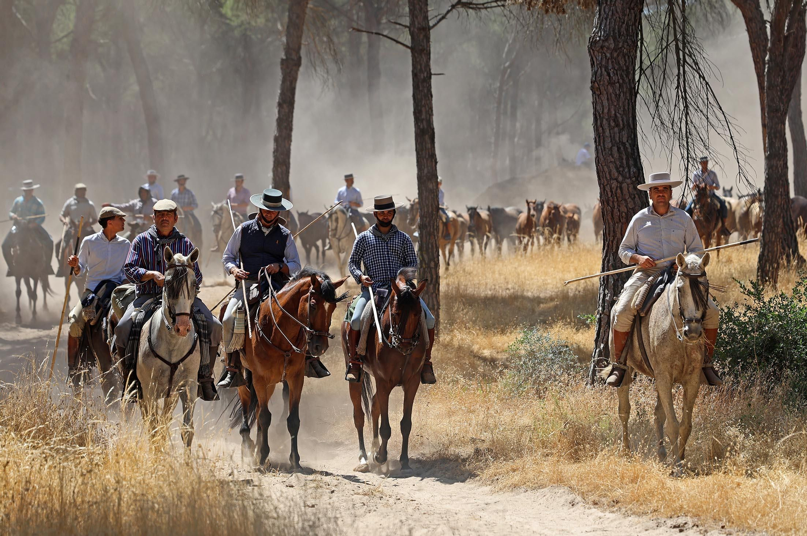 Las mejores imágenes de la Saca de las Yeguas 2025