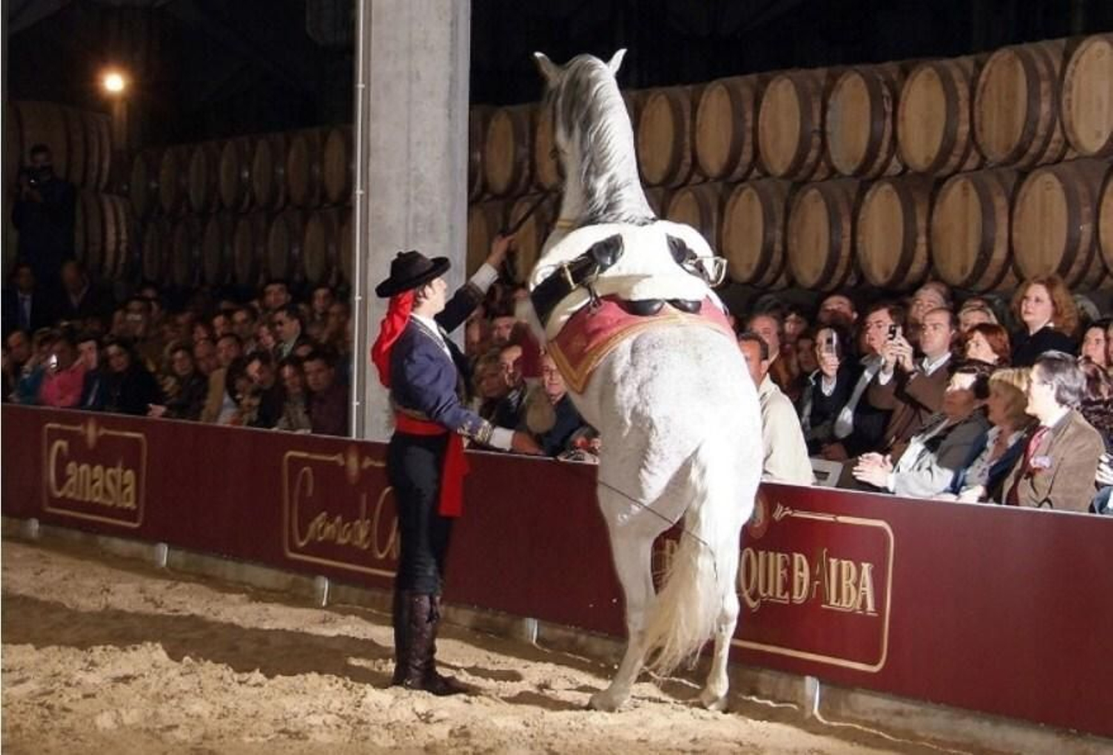 Espectáculo ecuestre en Bodegas Williams & Humbert.