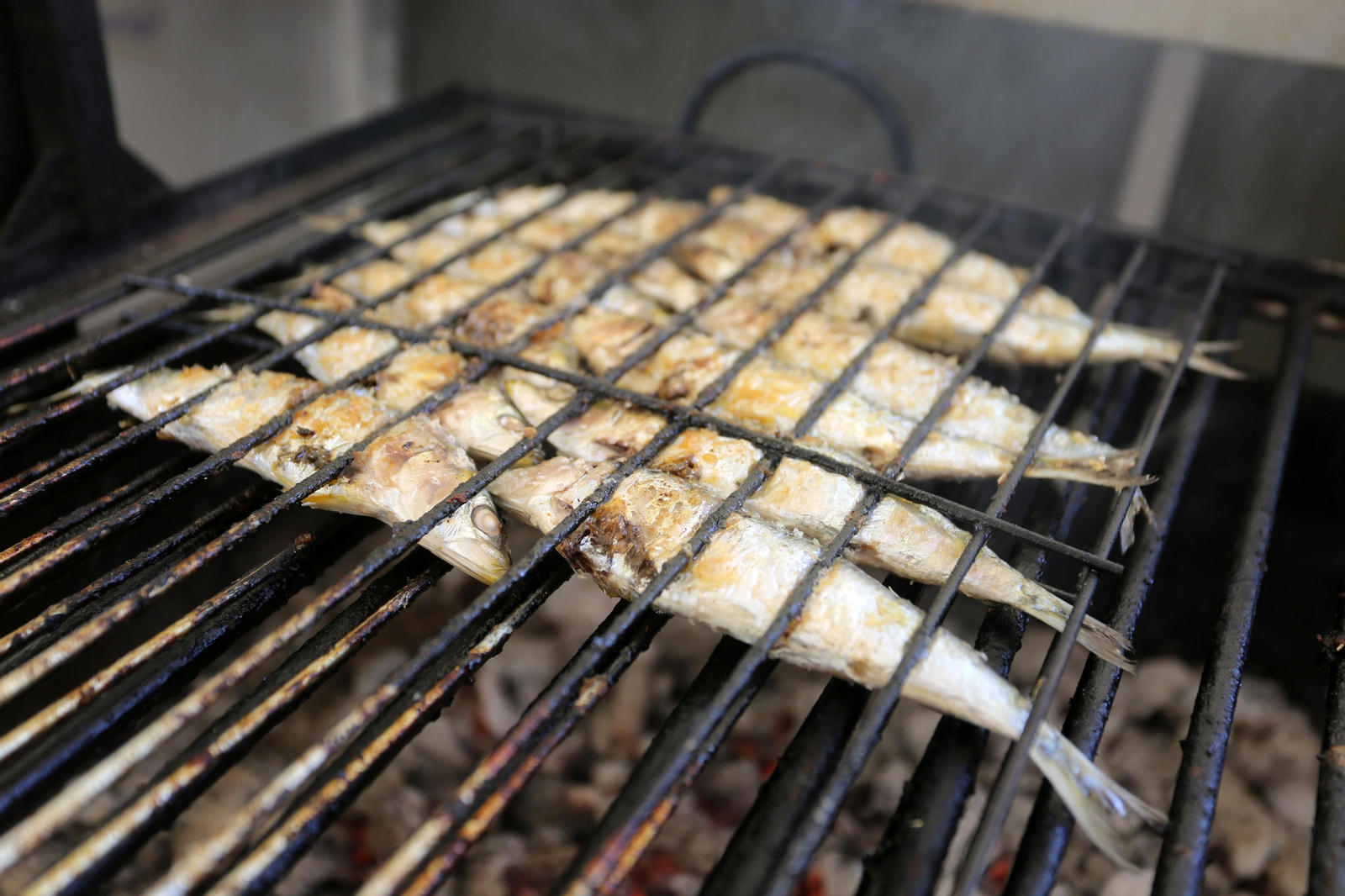 Imágenes del ambiente de Jueves en las Colombinas de día de Isla Chica