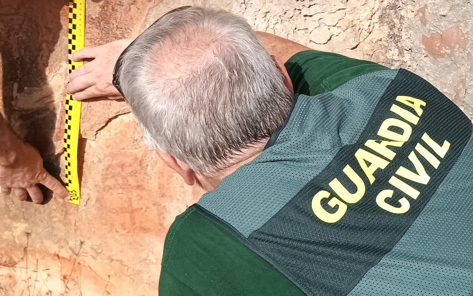 Evaluación del Seprona en las pinturas ruprestres.