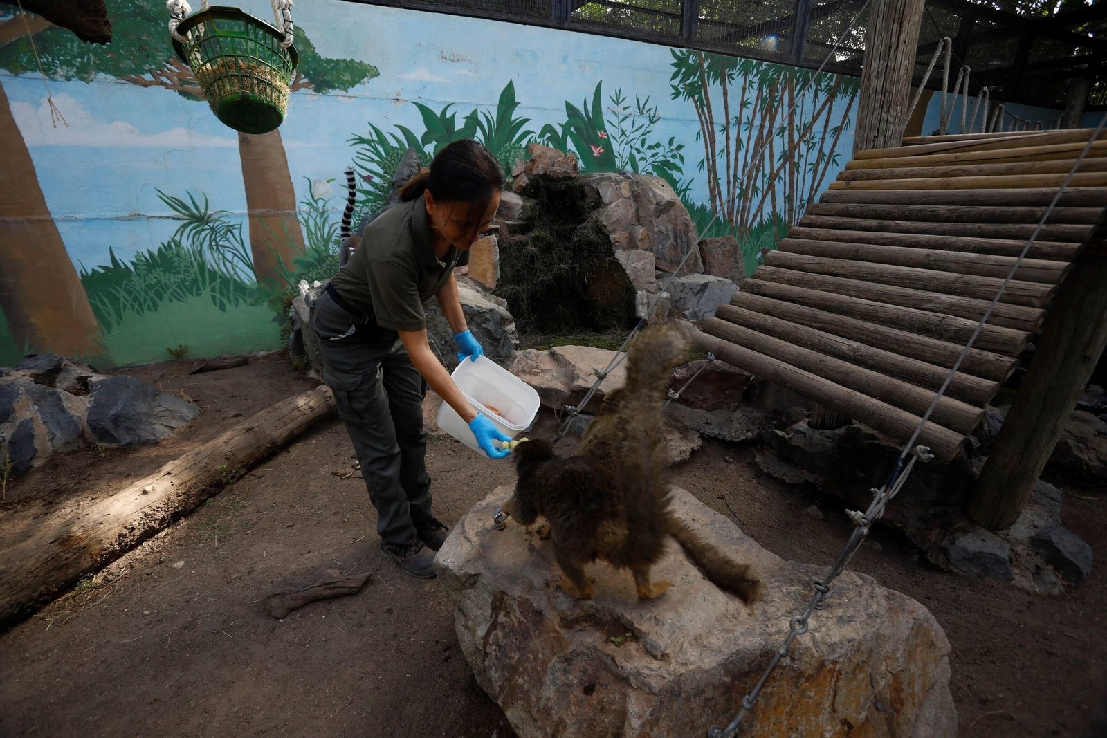 Fotogalería: Así viven los animales del Zoo de Córdoba los meses de verano