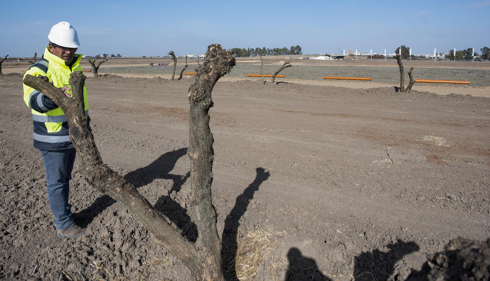 El centro logístico Palanquivir toma forma