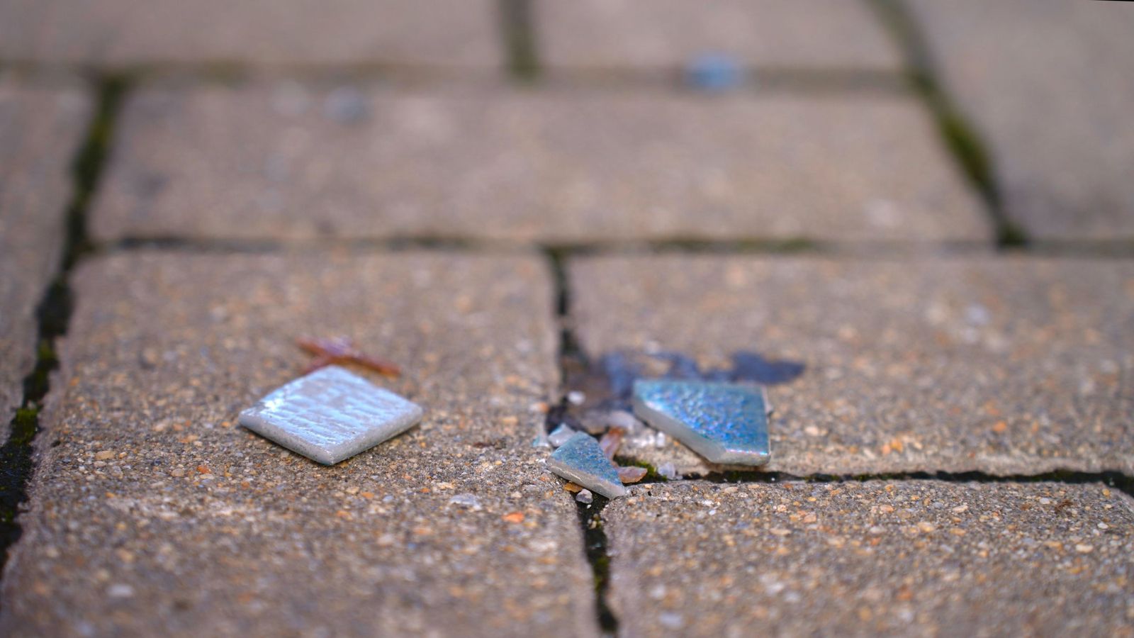 Pequeños azulejos azulados y verdosos que se desprenden a diario de la fachada del Teatro Florida.