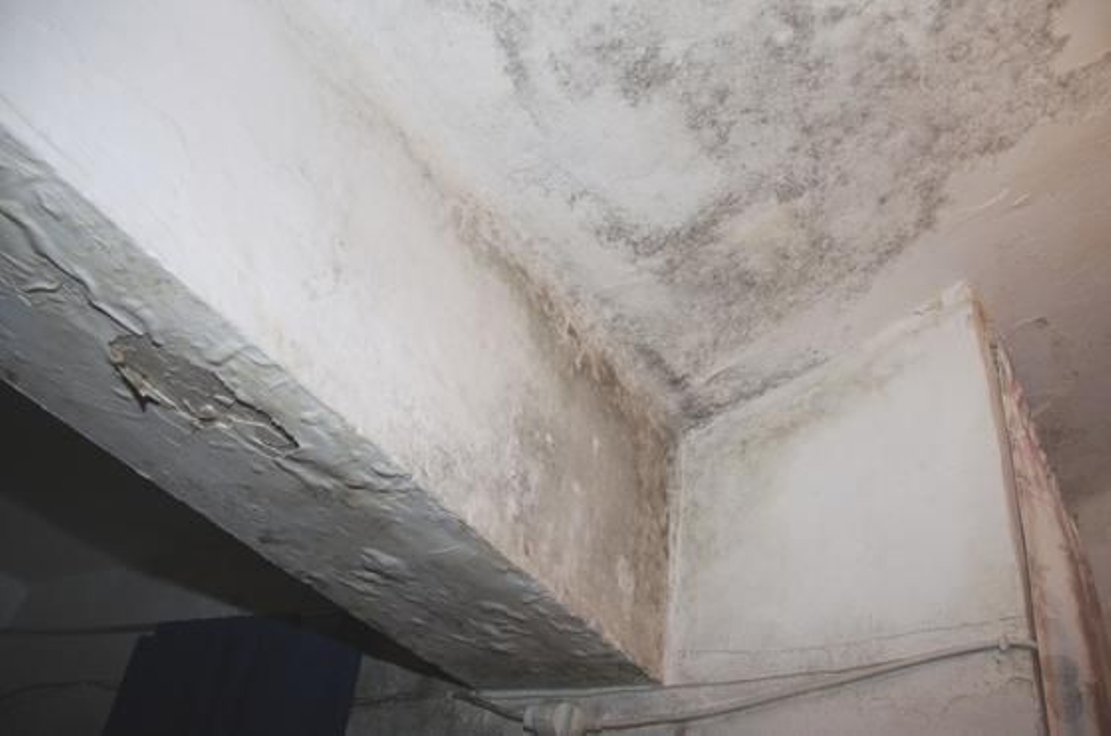 Foto: Victoria Hidalgo