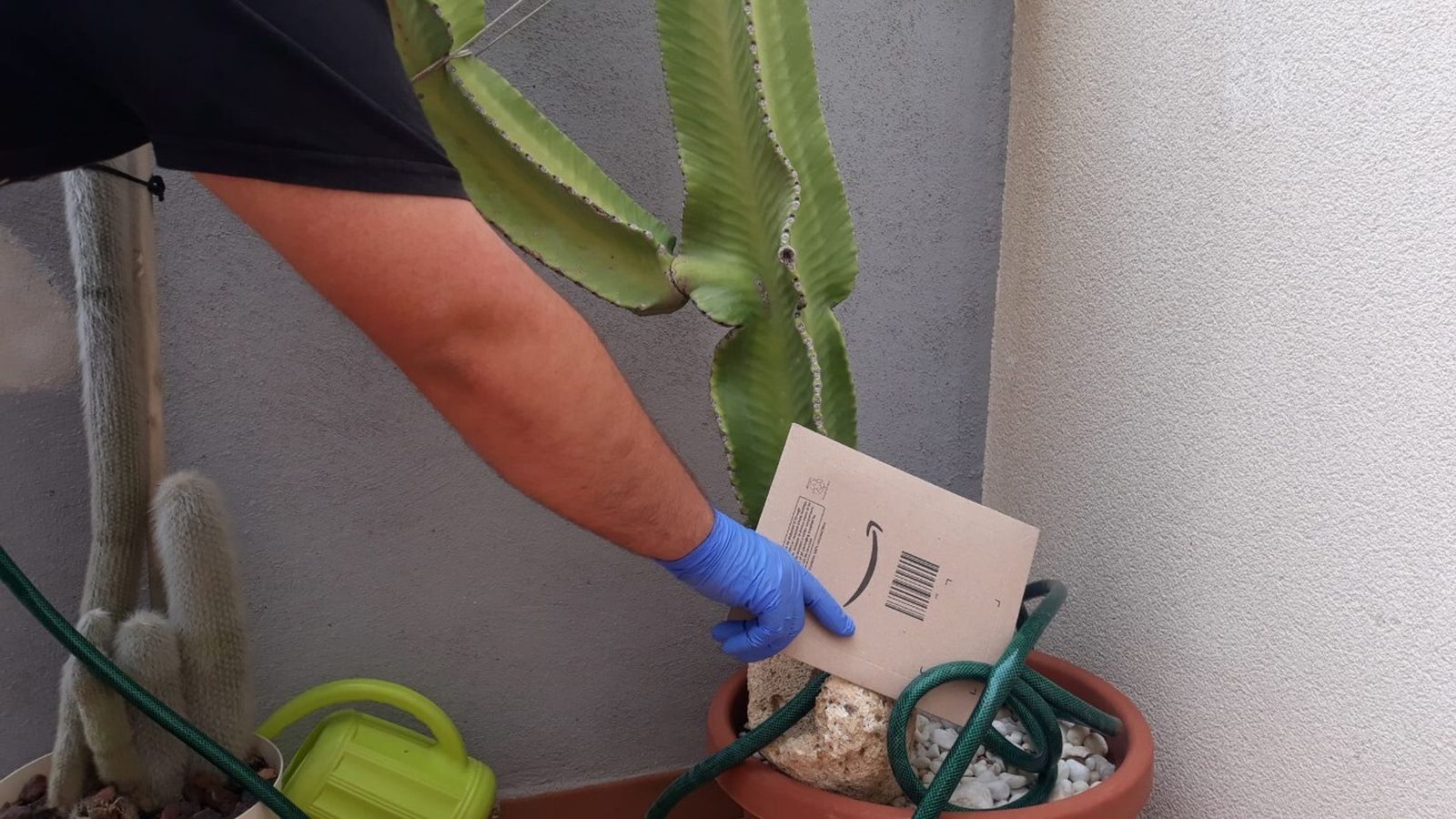 Recogen un paquete junto a una planta del jardín.