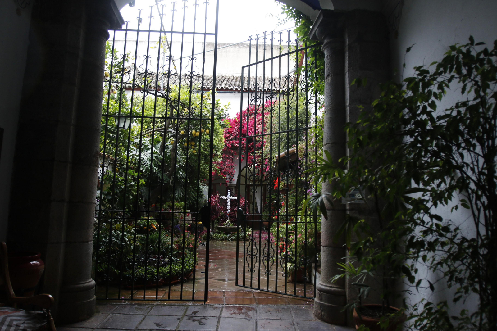 Las fotos de los Patios de Córdoba en tiempos de crisis: La Palma, 3