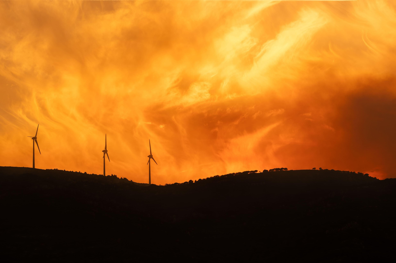 Los efectos del devastador incendio en el paraje monte de La Peña, en imágenes