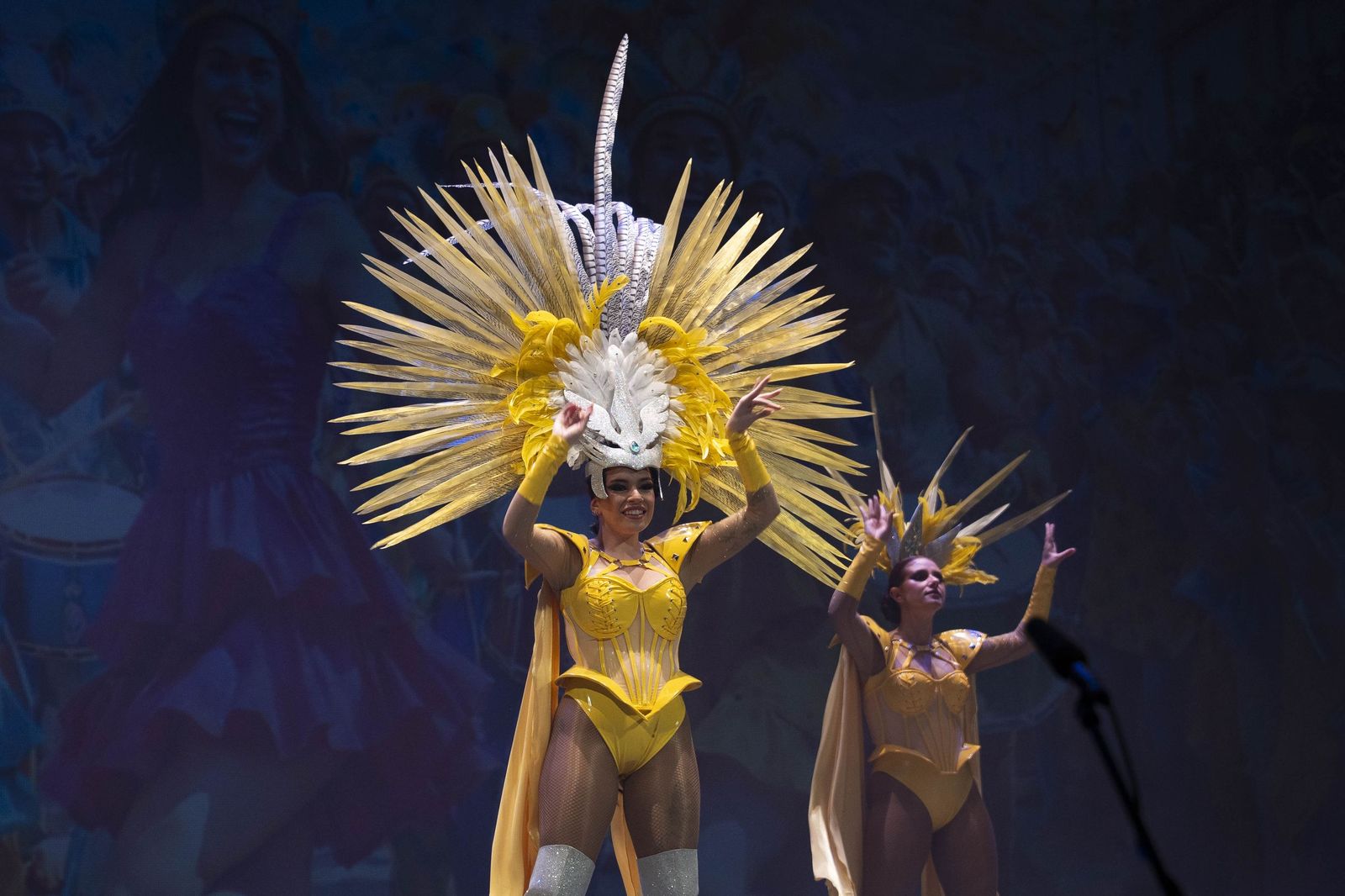 Galería de la XI Gala Coteca del Carnaval de Almería