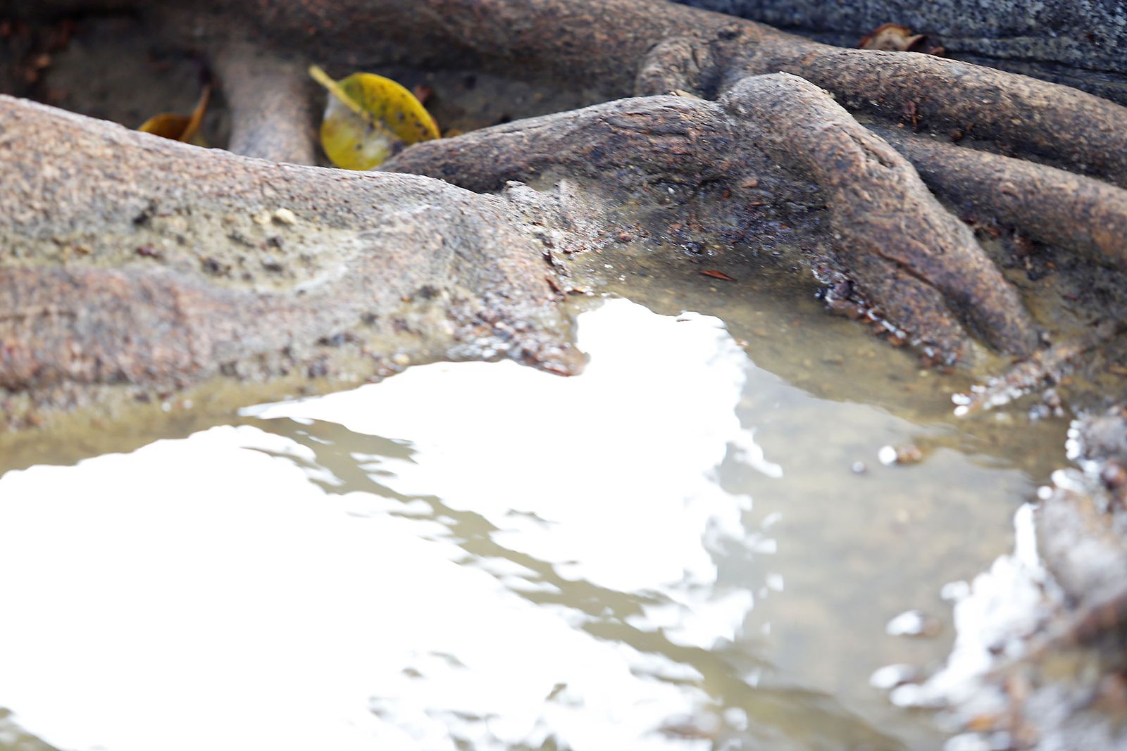 Las imágenes más destacadas del martes 17 de octubre en Huelva
