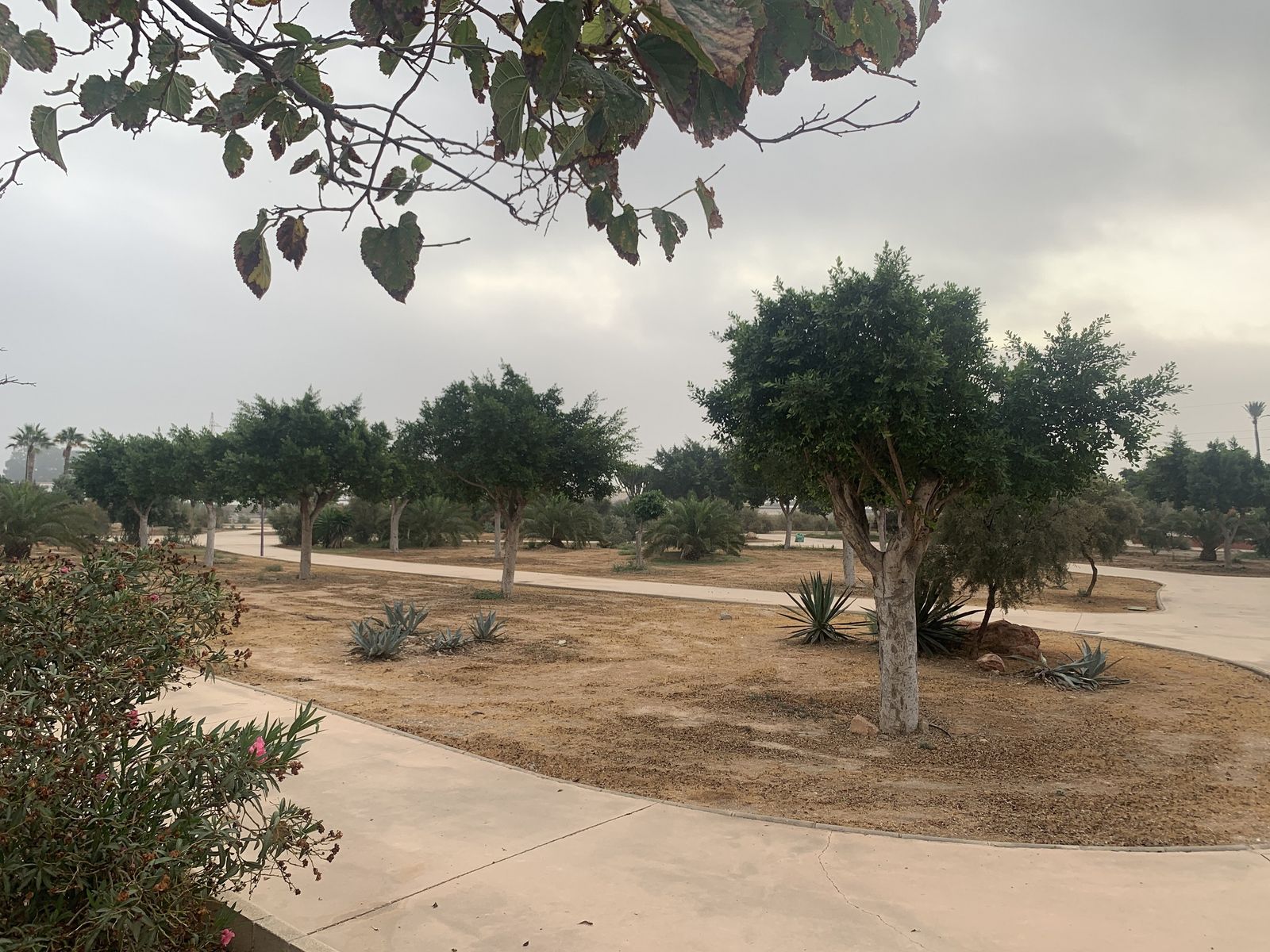 Parcela destinada a la pista de bicicletas, skates y patines.