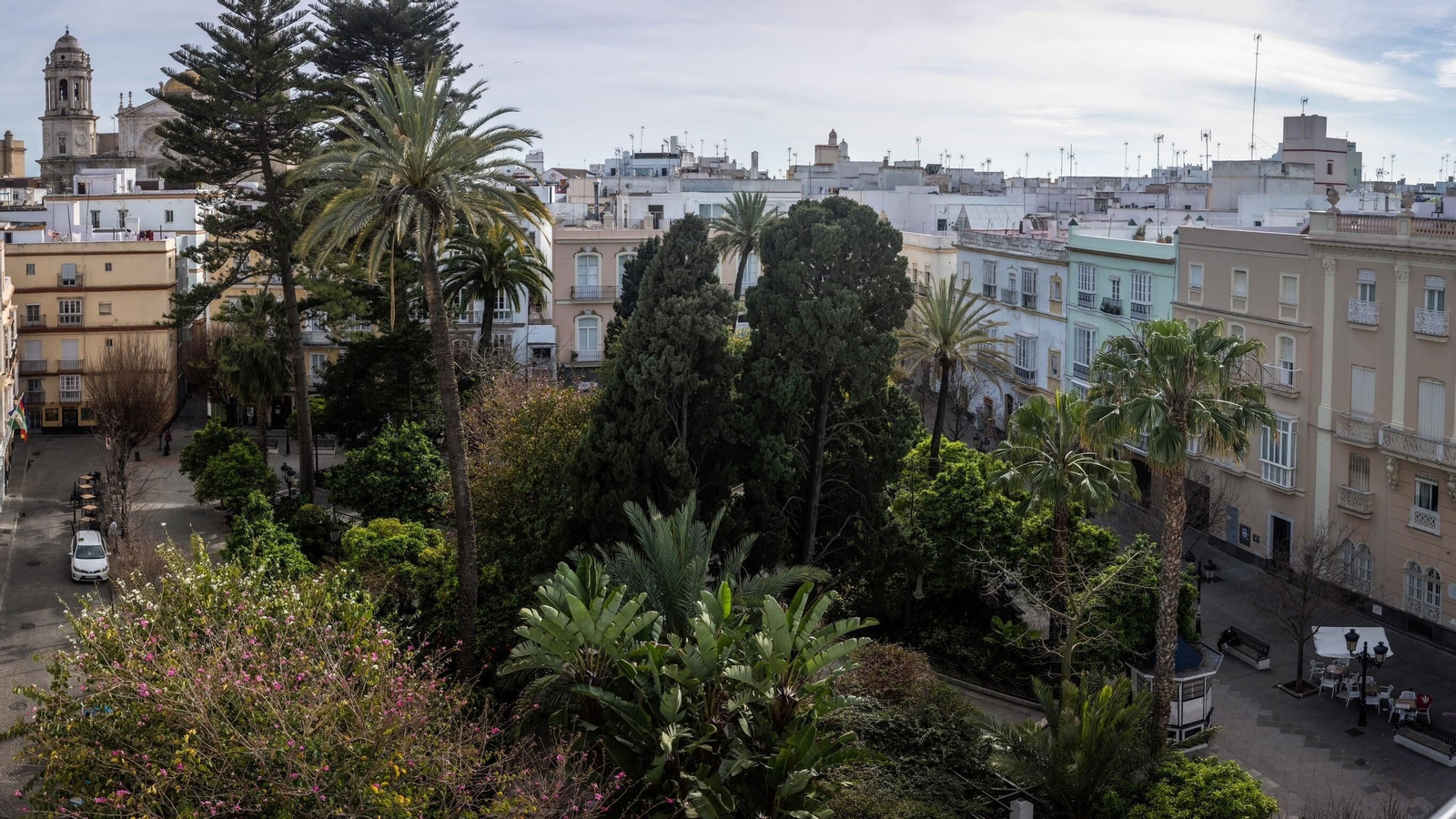 Vista aérea del arbolado de la plaza de Candelaria.