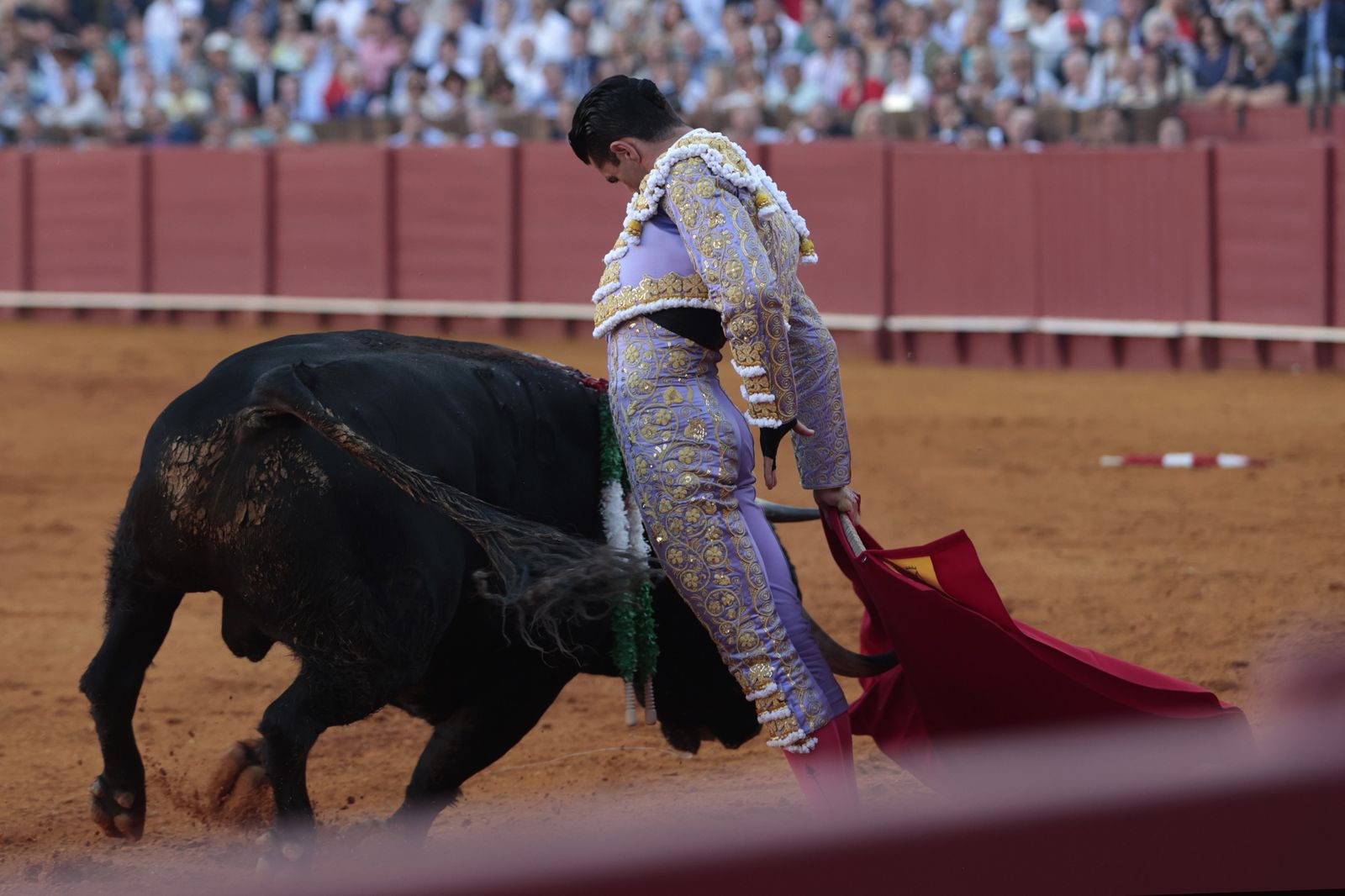 El triunfo de Castella en imágenes