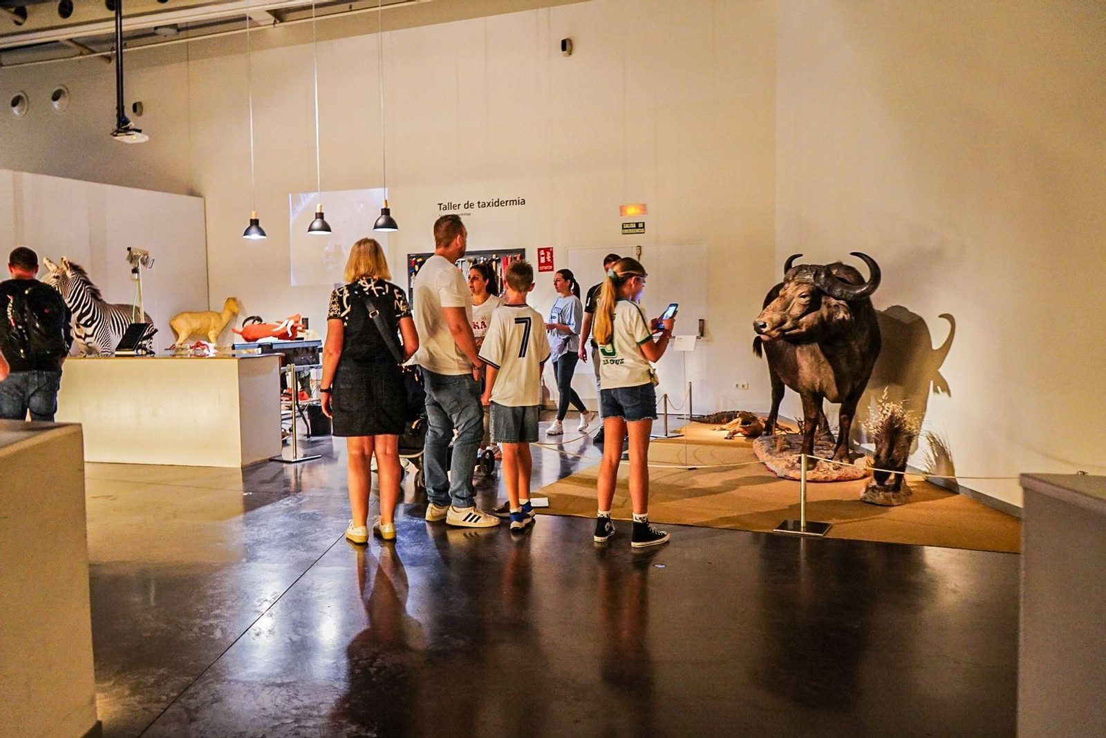 La Feria de la Ciencia de Granada, en imágenes
