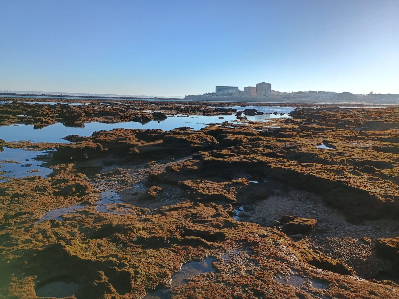 Las impresionantes imágenes de las mareas vivas en la Caleta de Cádiz