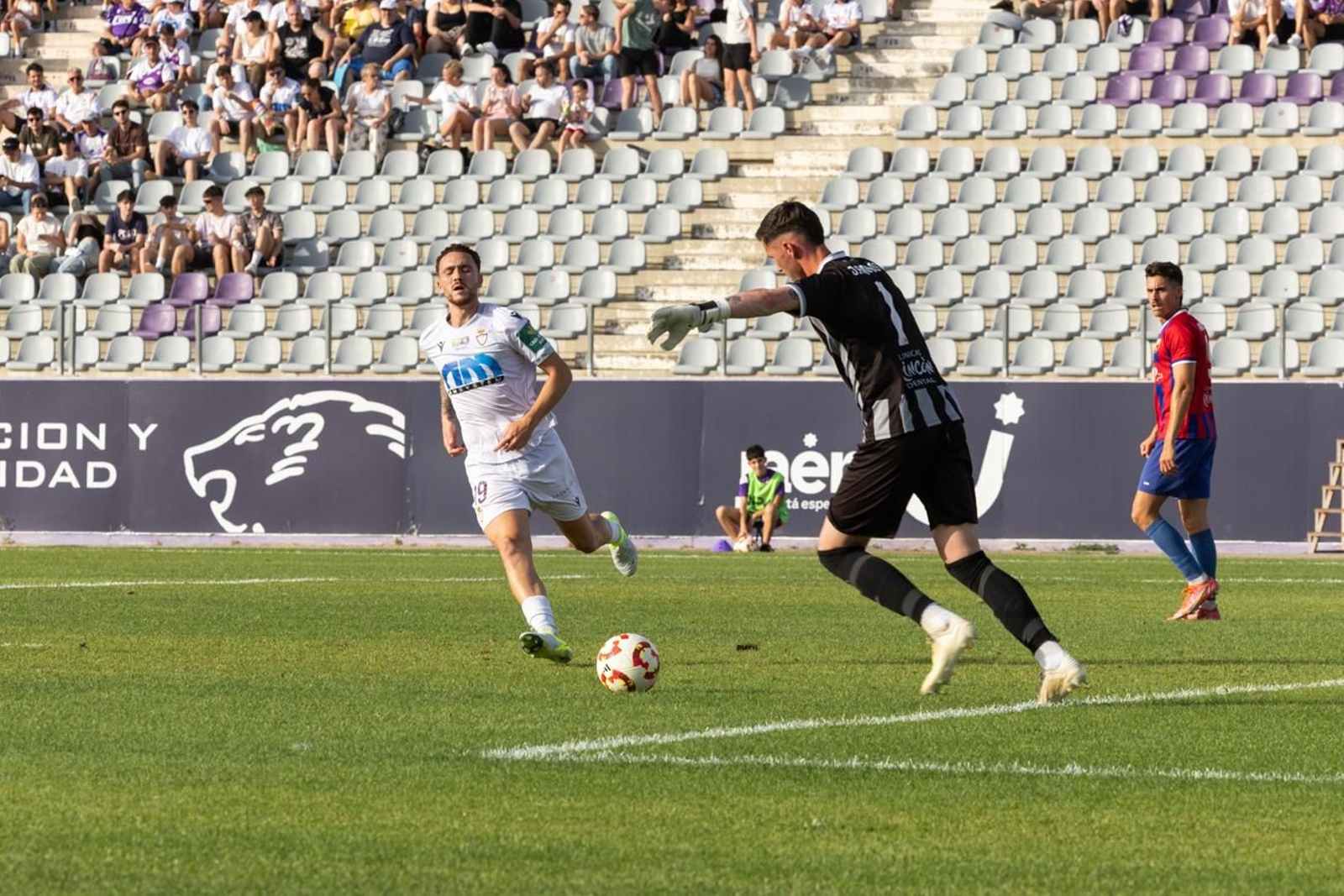 El triunfo del Real Jaén ante la UD Torre del Mar, en imágenes El triunfo del Real Jaén ante la UD Torre del Mar, en imágenes