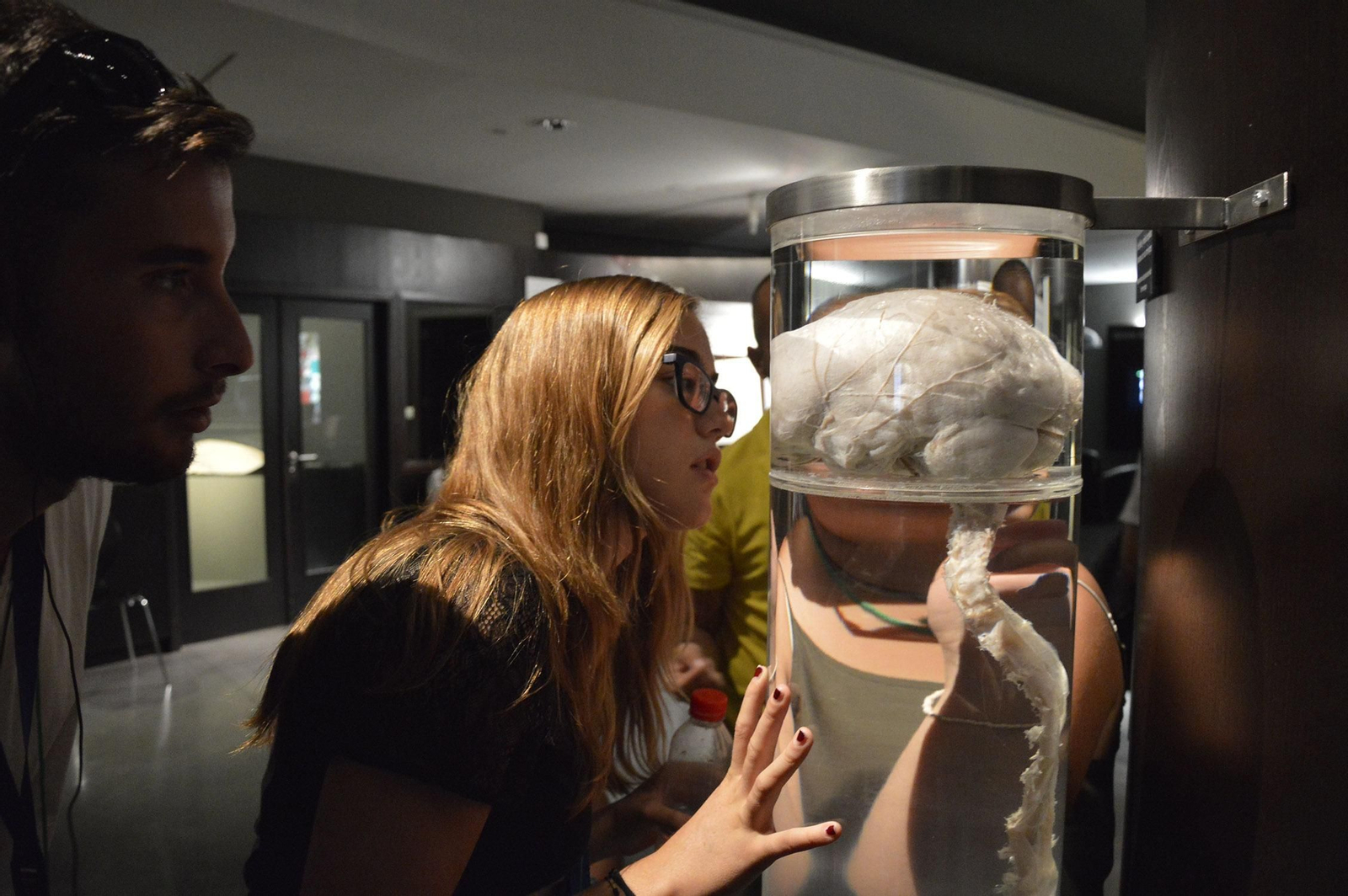 Jóvenes observando un cerebro en el Parque de las Ciencias de Granada