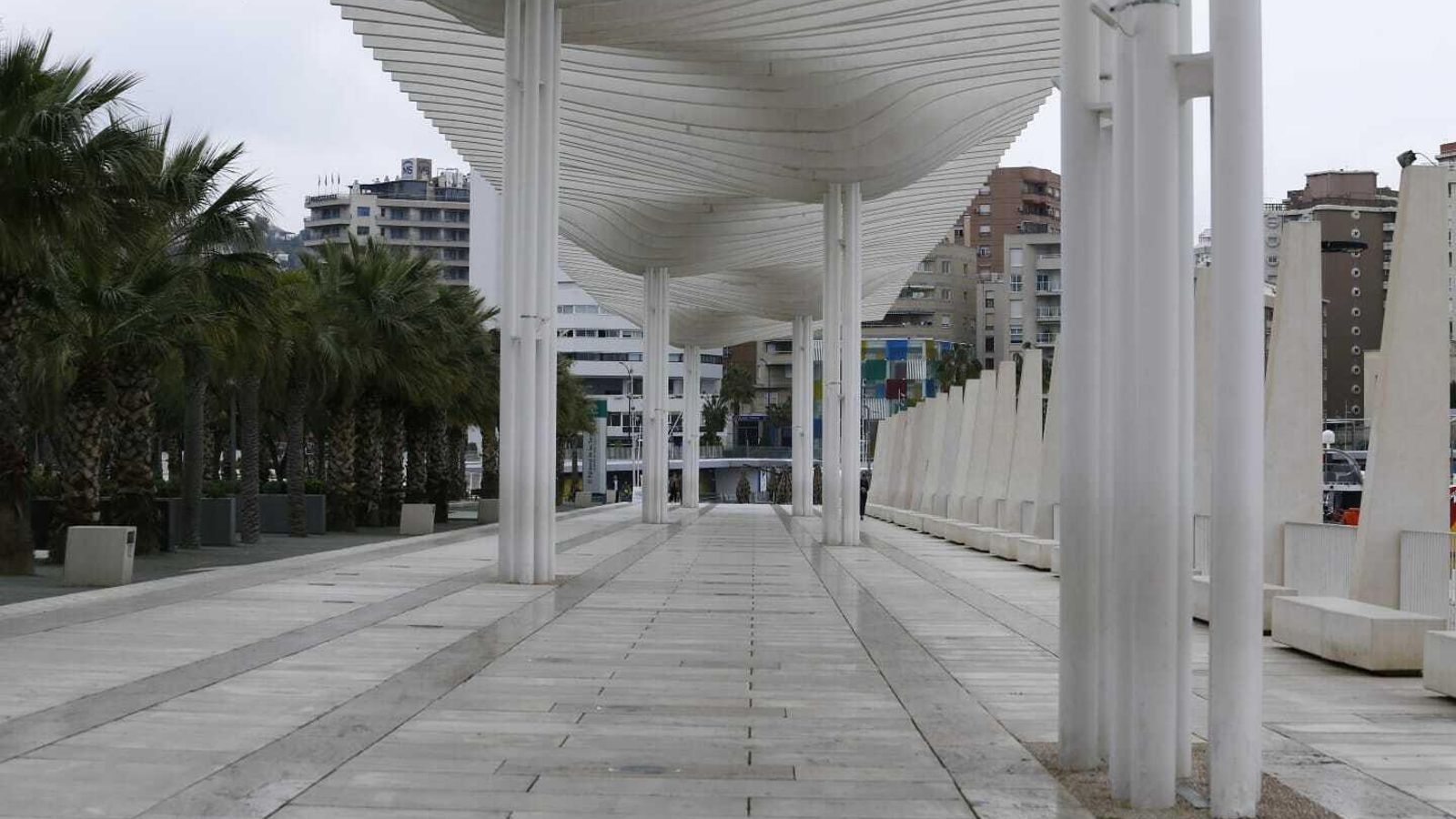 El Palmeral de las Sorpresas, este domingo.