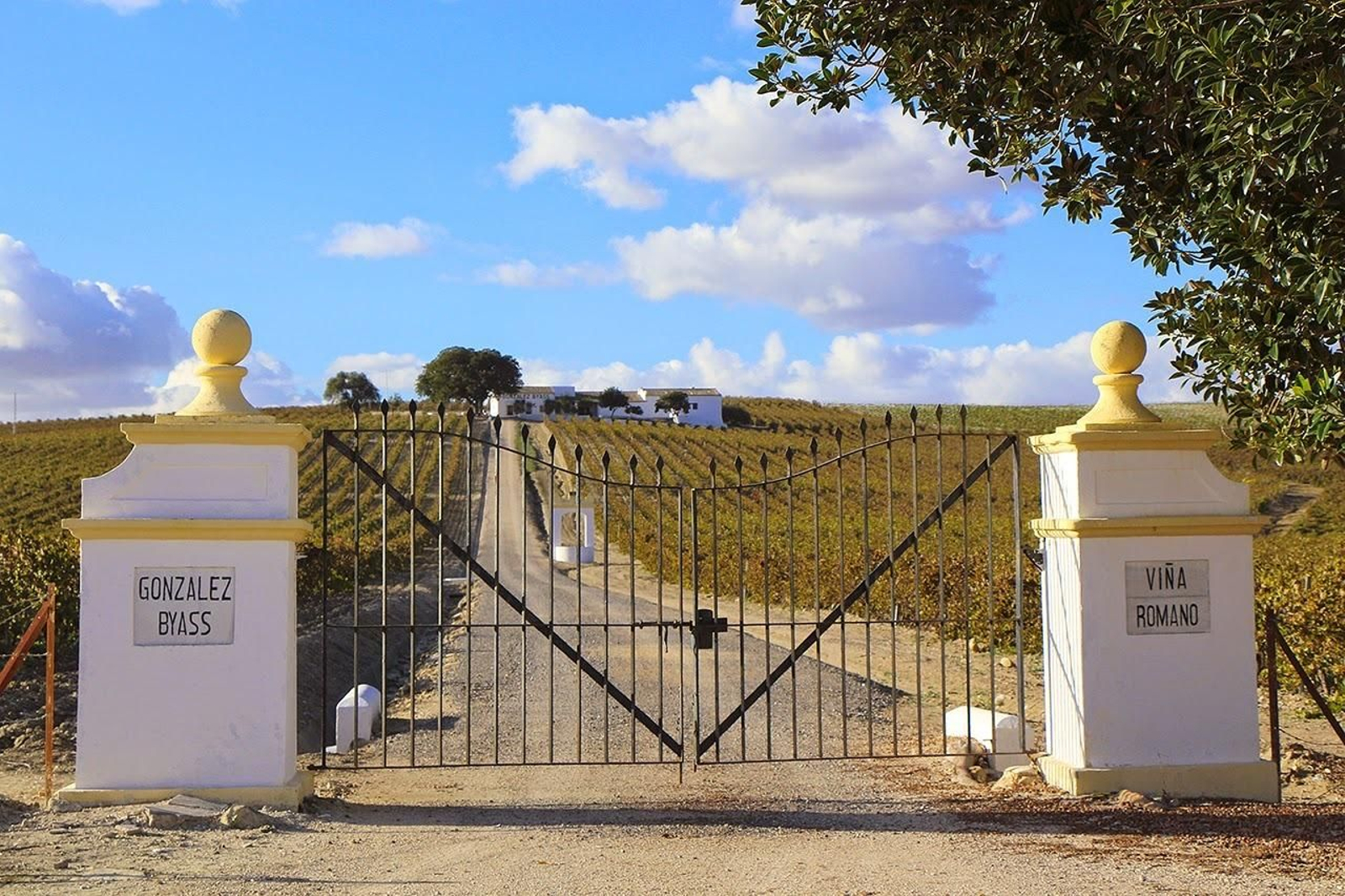 Finca Romano de González Byass.
