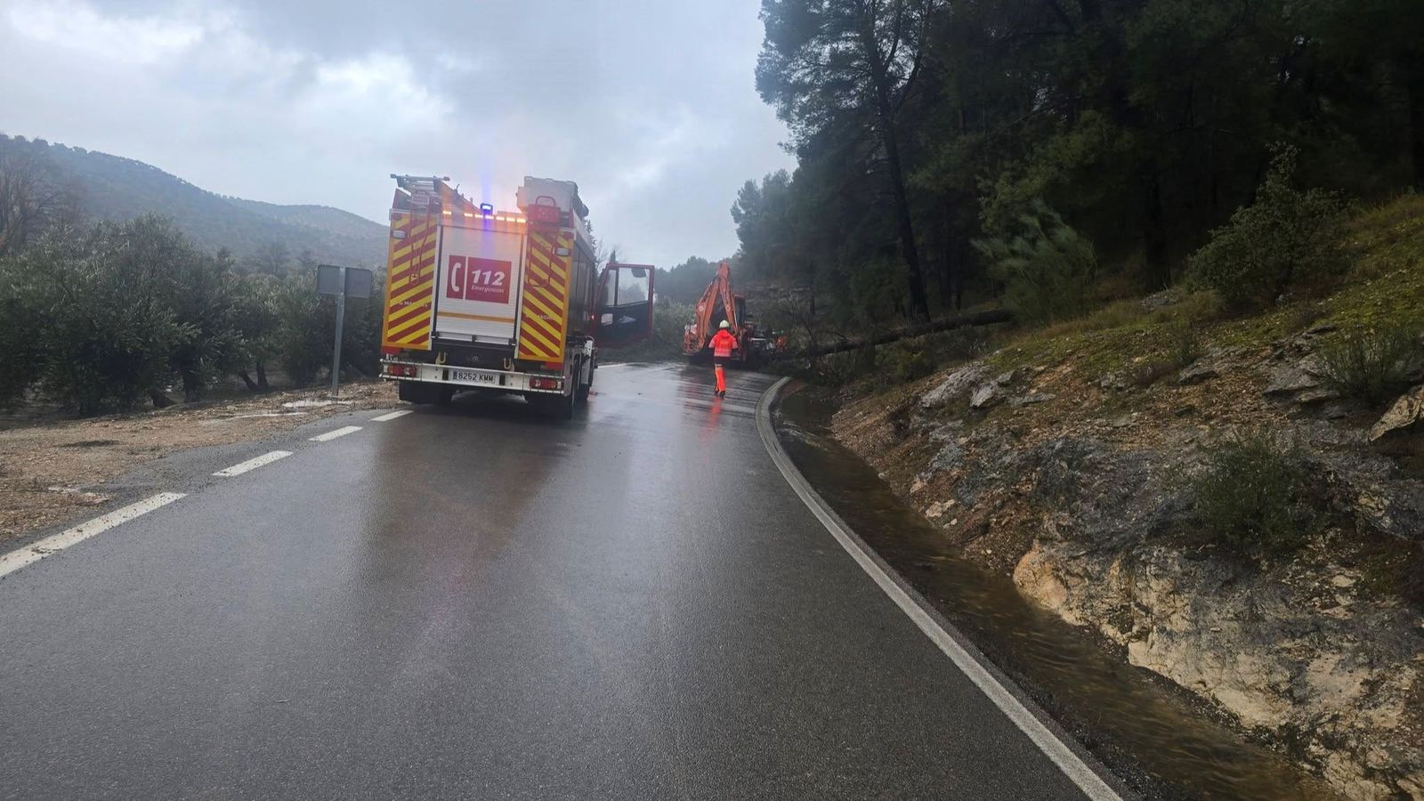 Los Bomberos trabajan en la retirada de un árbol sobre la calzada en Iznalloz | Imagen de archivo