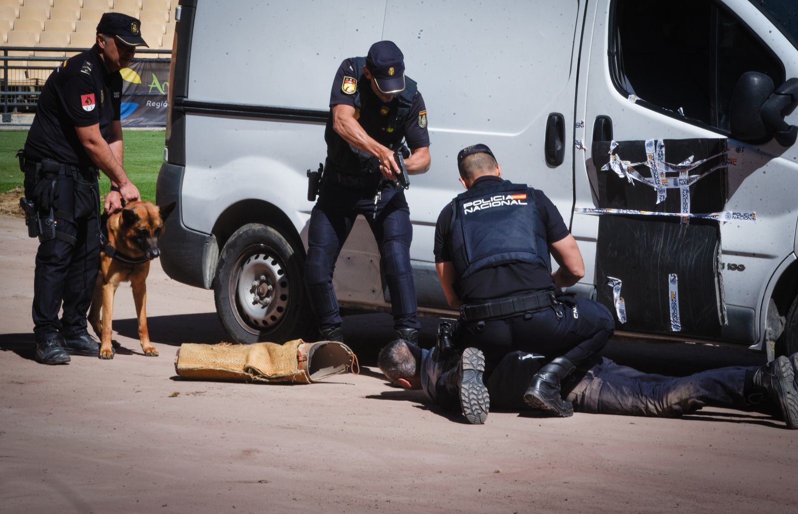 La exhibición policial con participación de la Unidad Aérea, Guías Caninos y Caballería, en imágenes